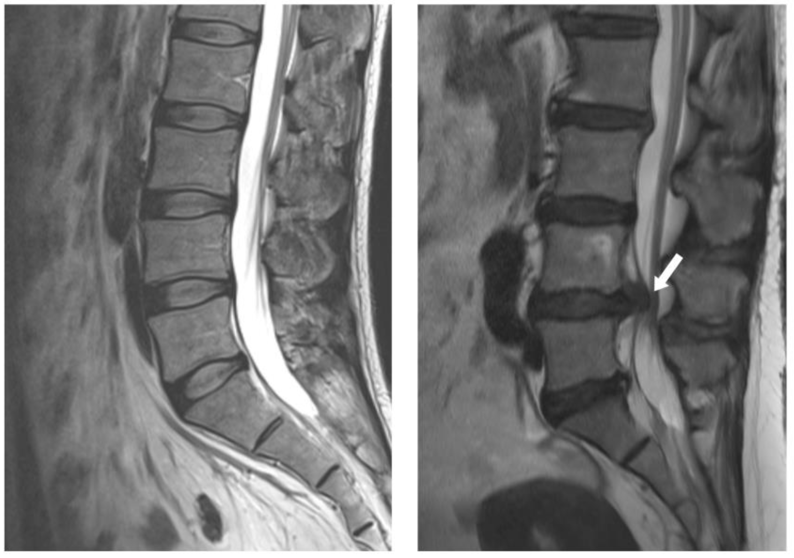 Preprints 145268 g001