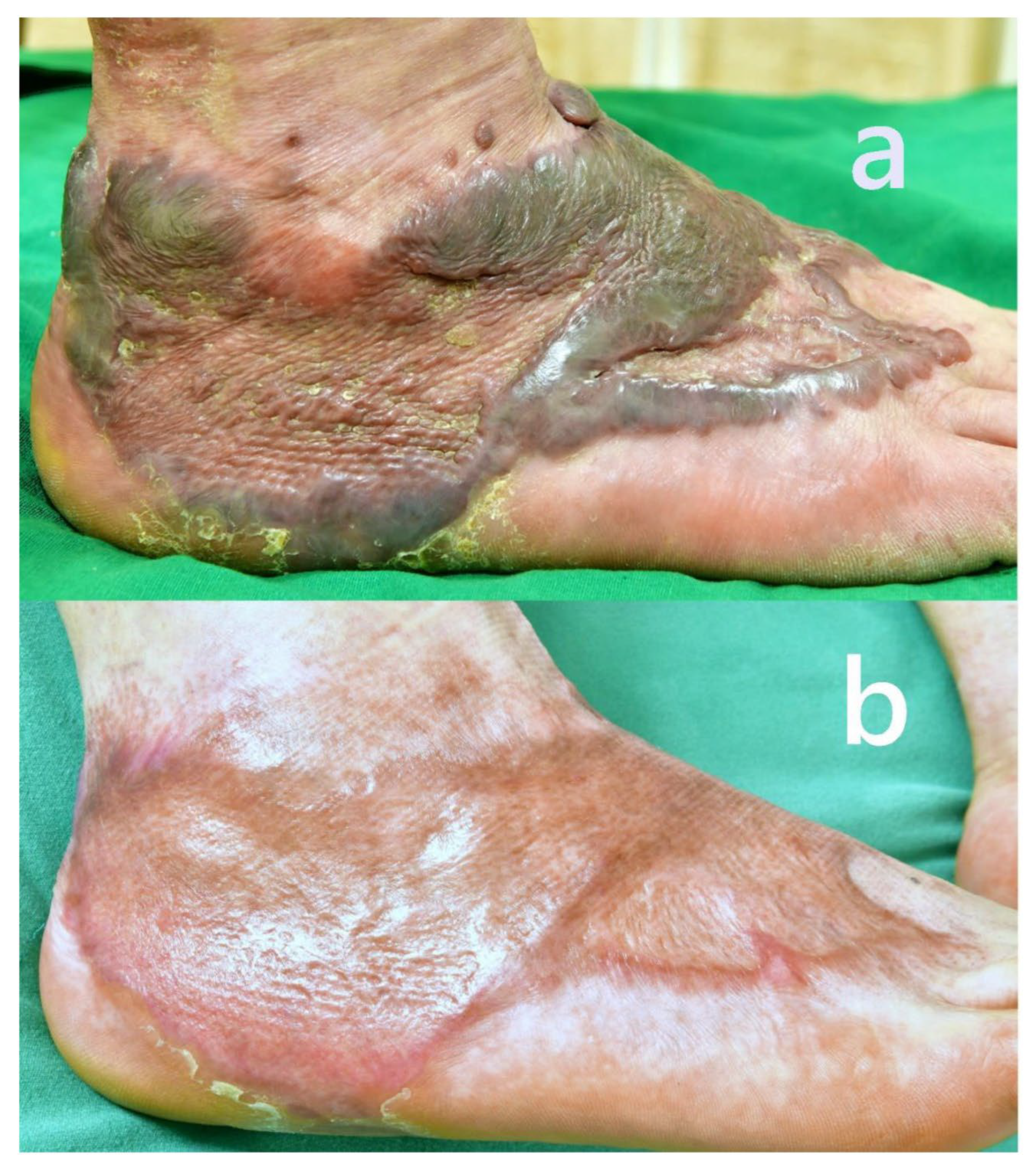 Preprints 172385 g003
