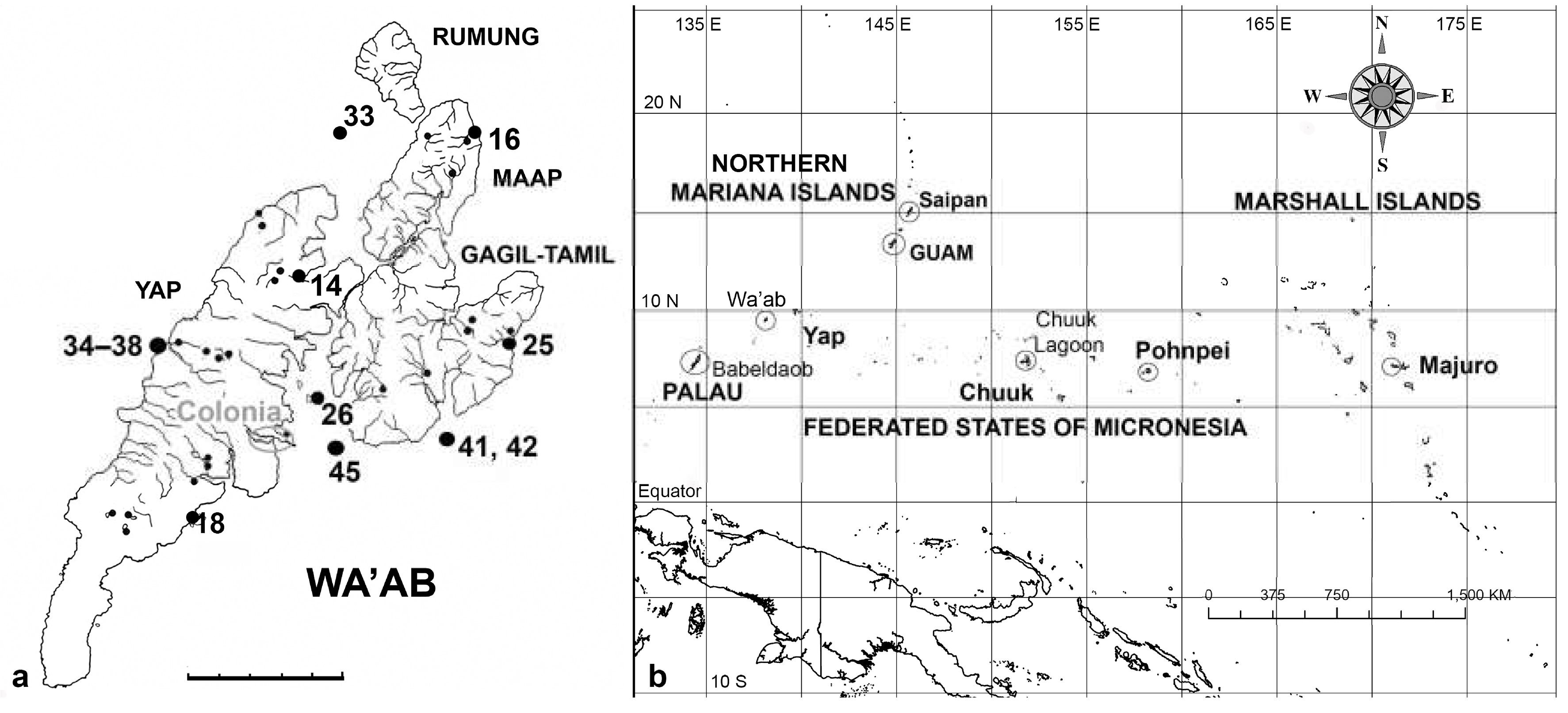 Preprints 141177 g001