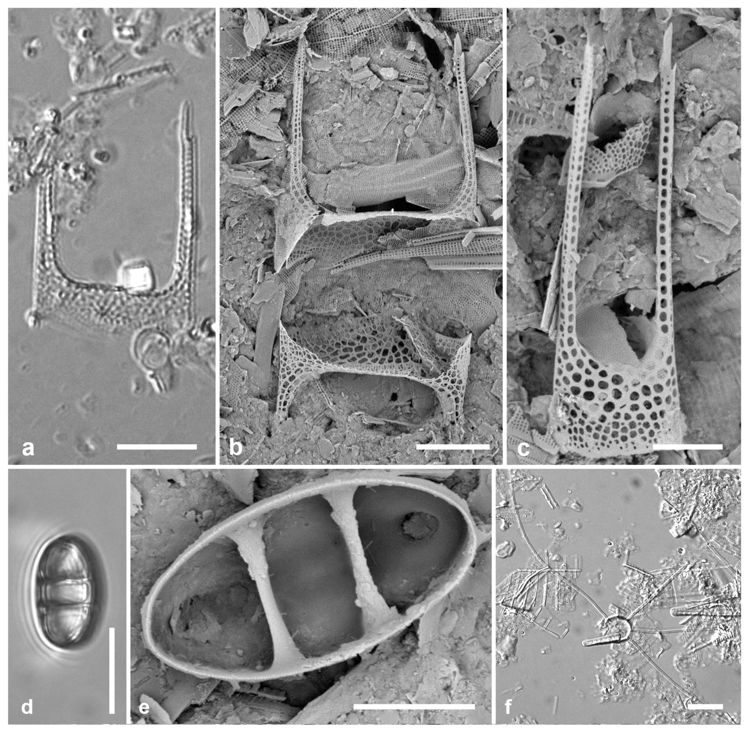 Preprints 141177 g006
