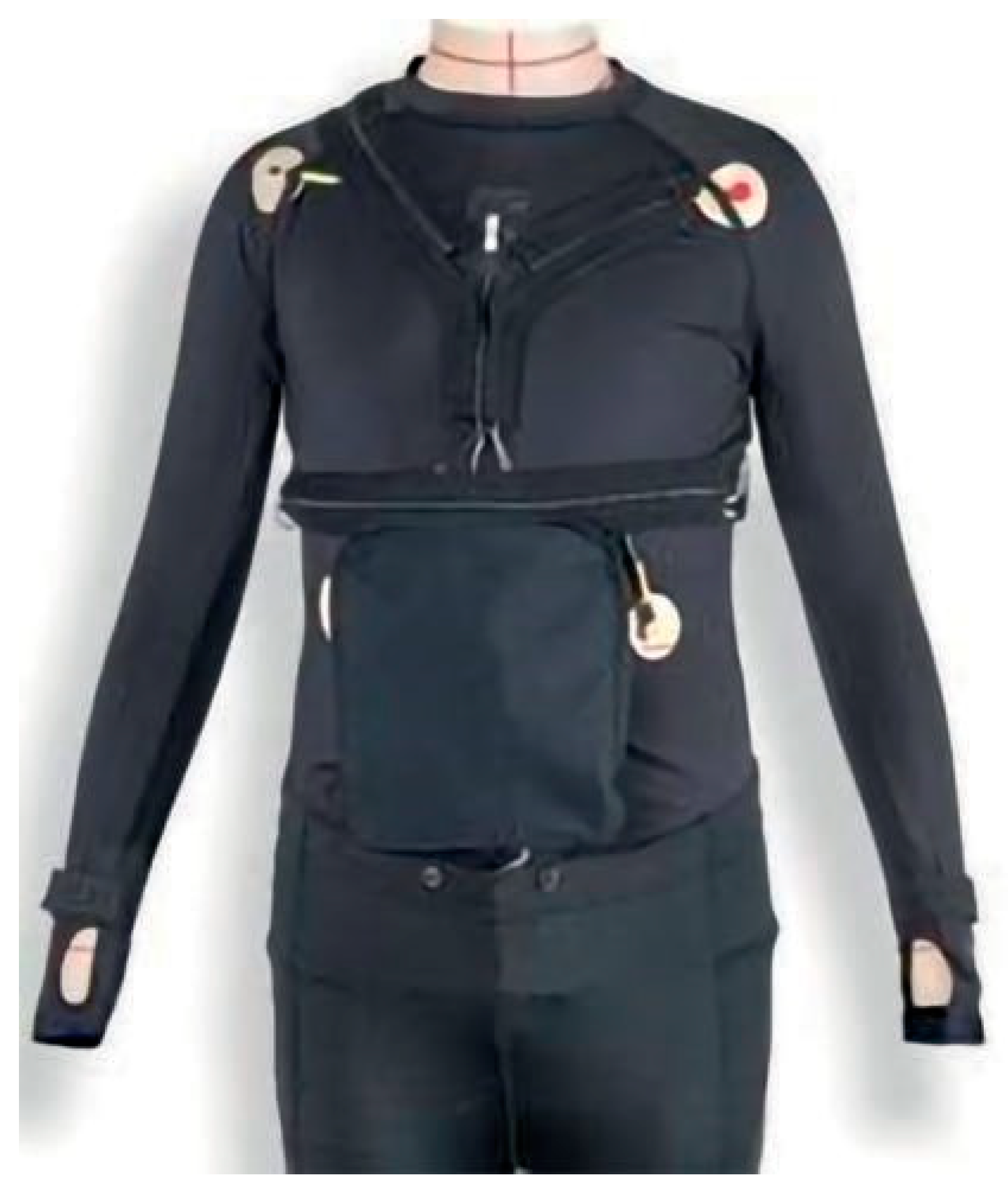 Preprints 81088 g003