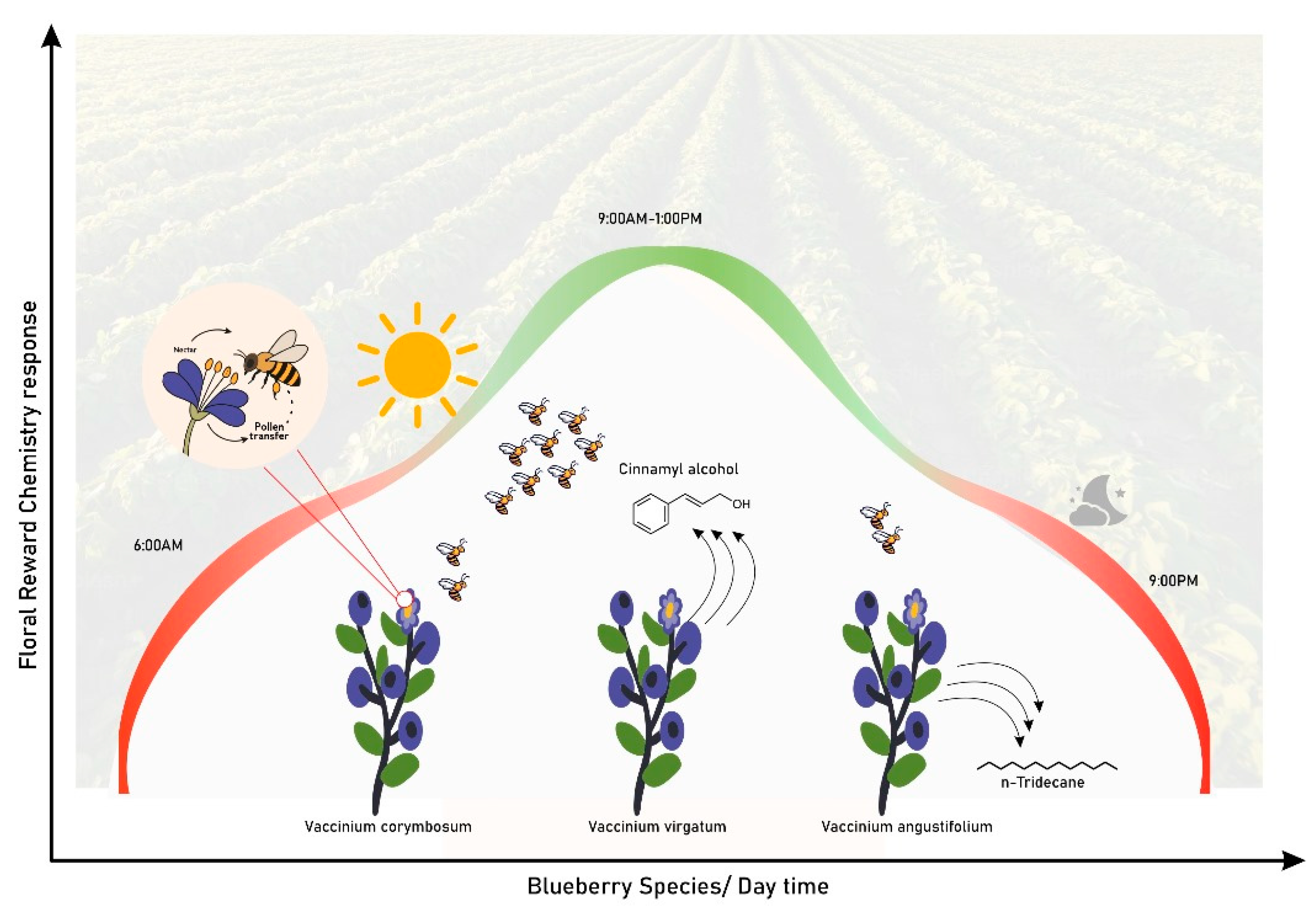 Preprints 157695 g001