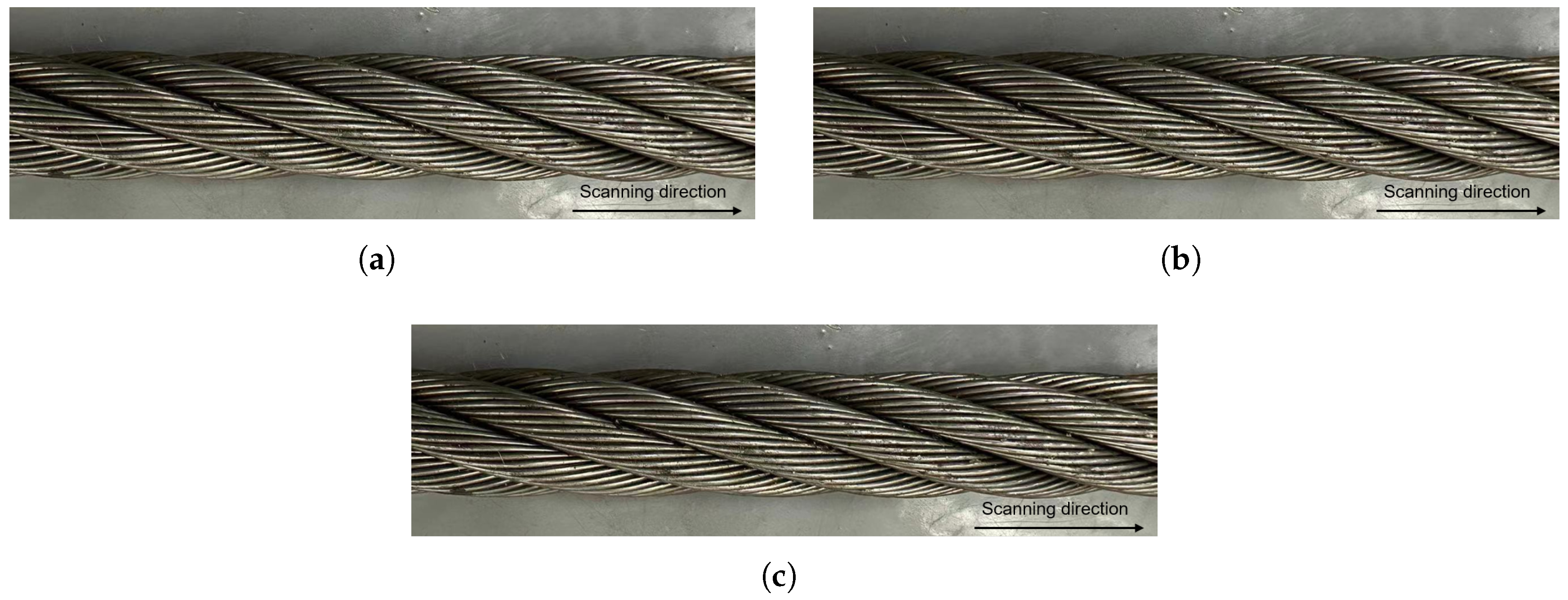 Preprints 152041 g010