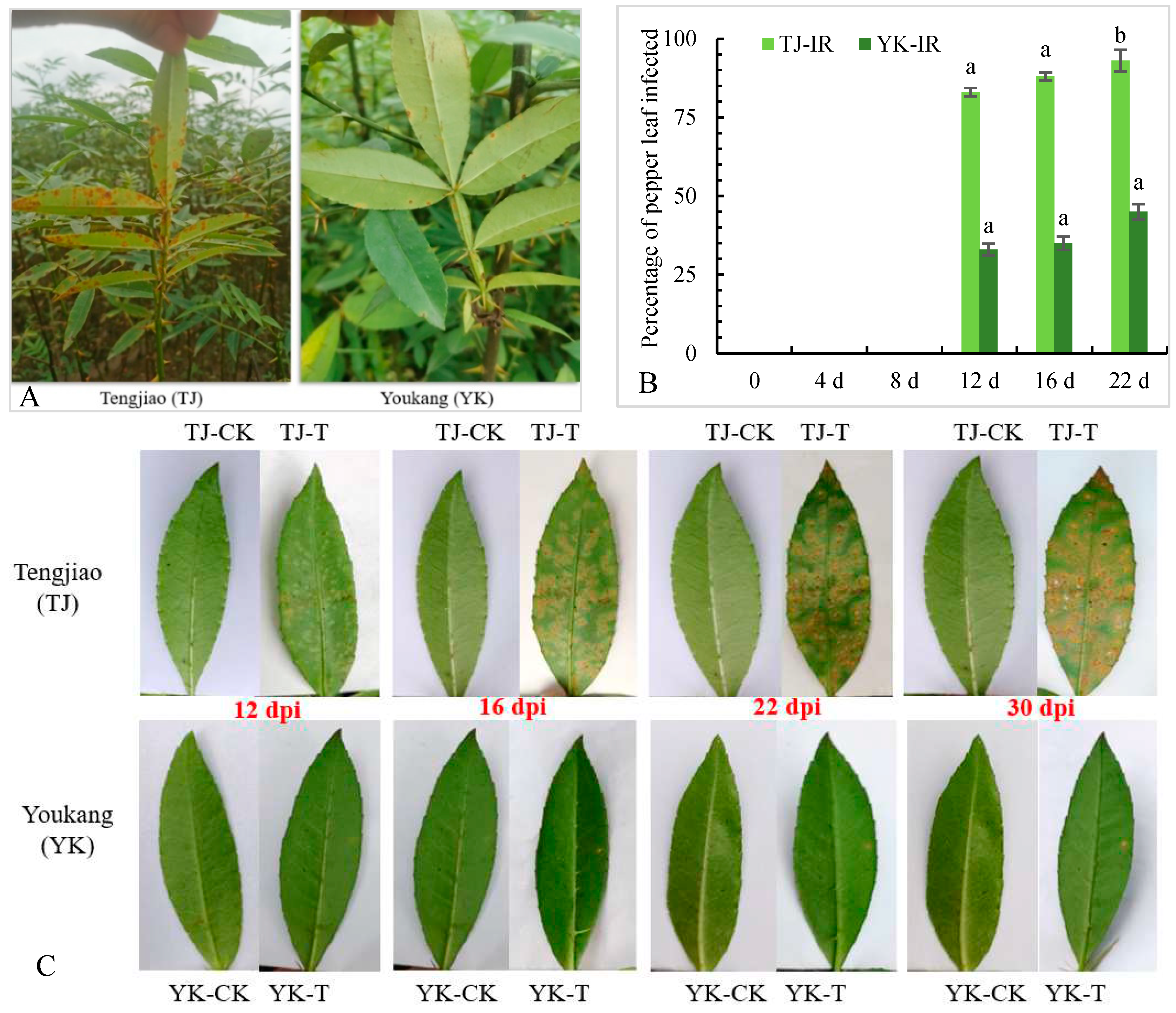 Preprints 81748 g001
