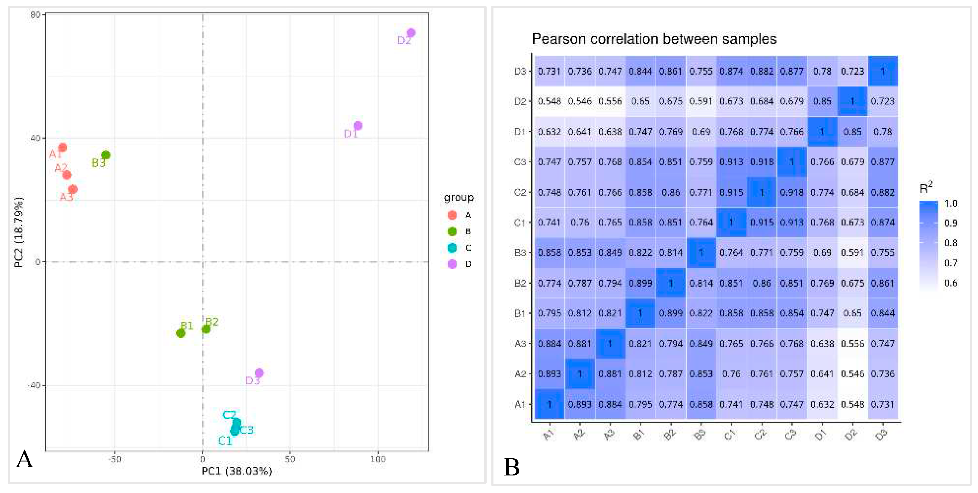 Preprints 81748 g002