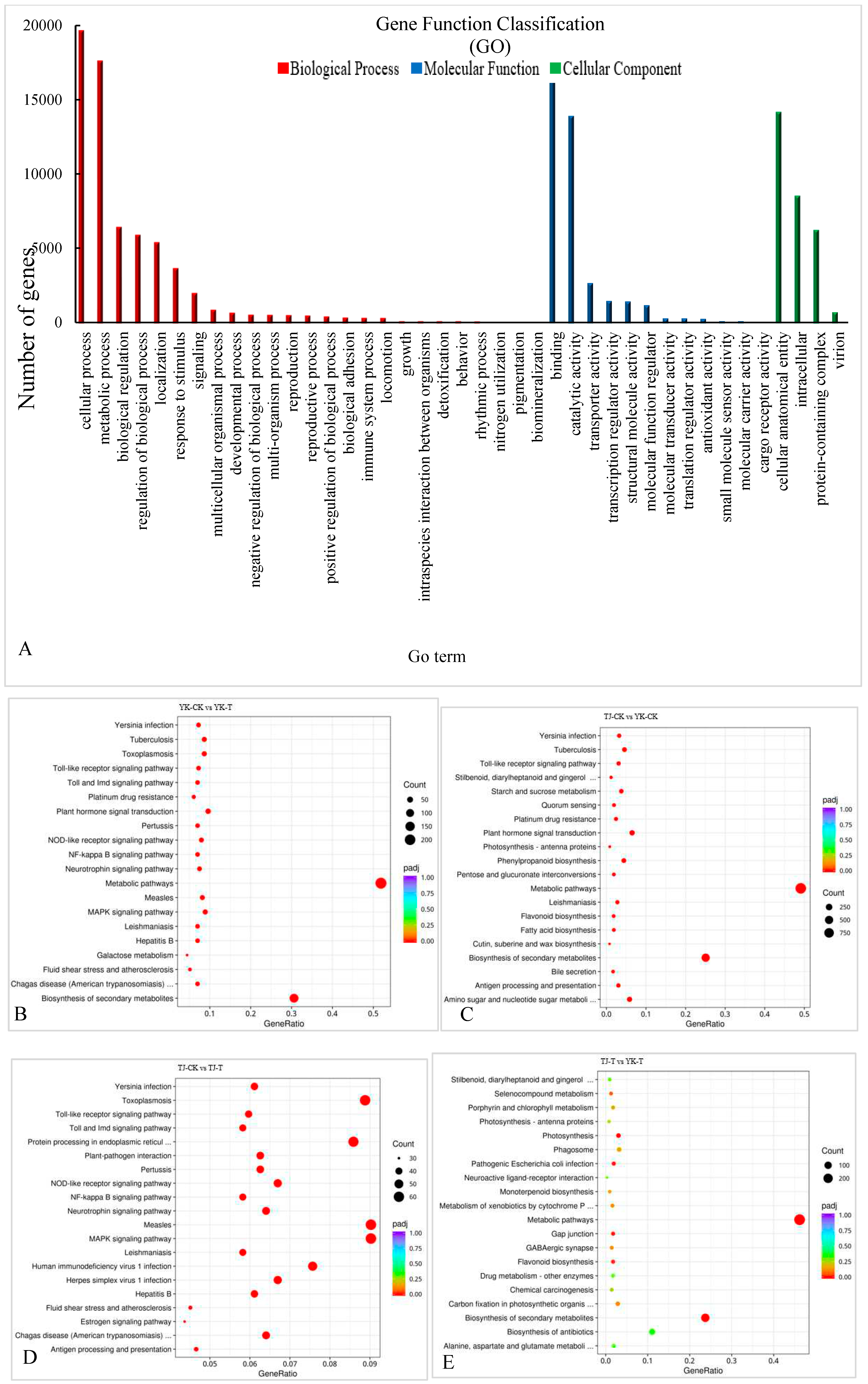 Preprints 81748 g004