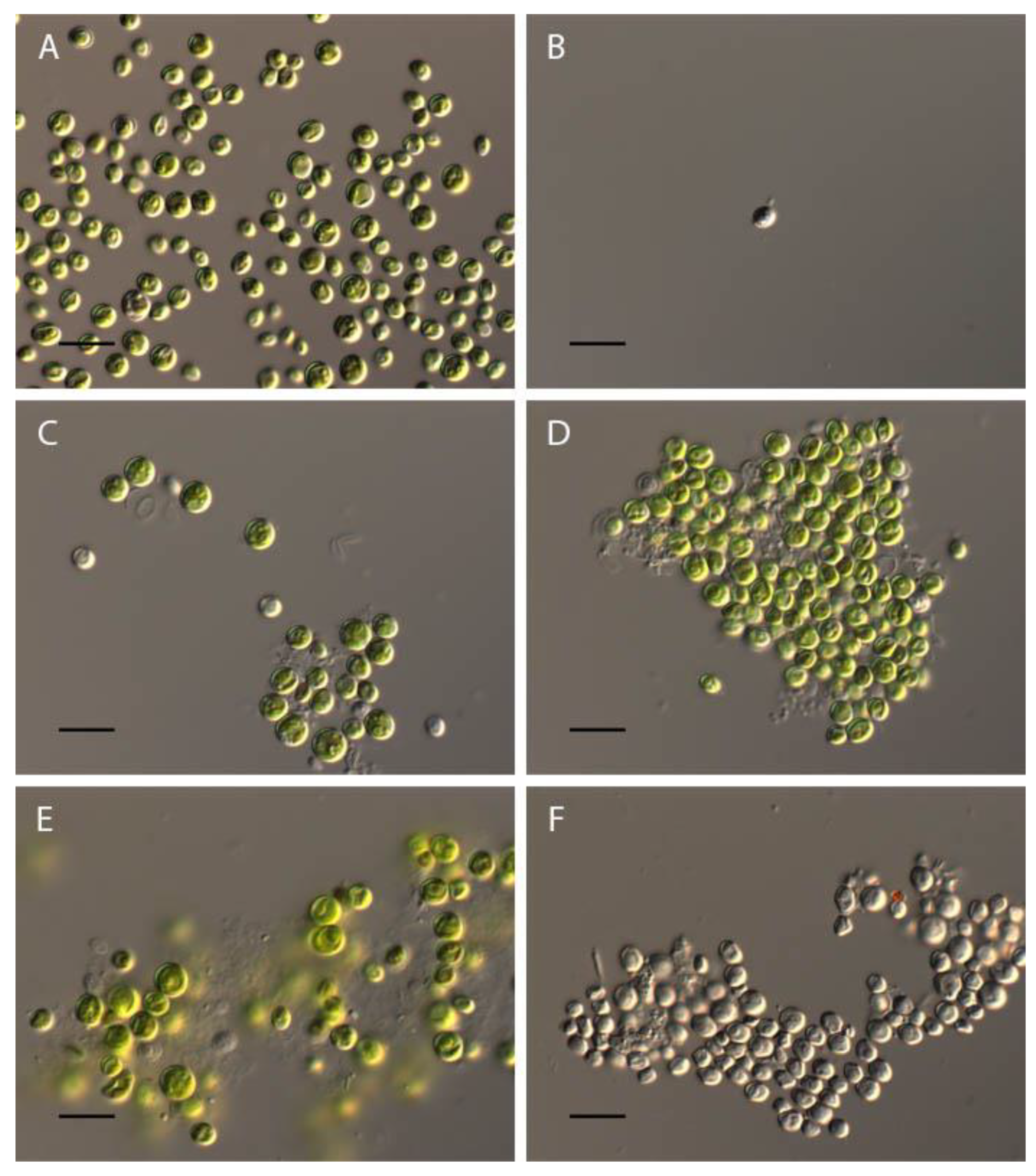 Preprints 90850 g007