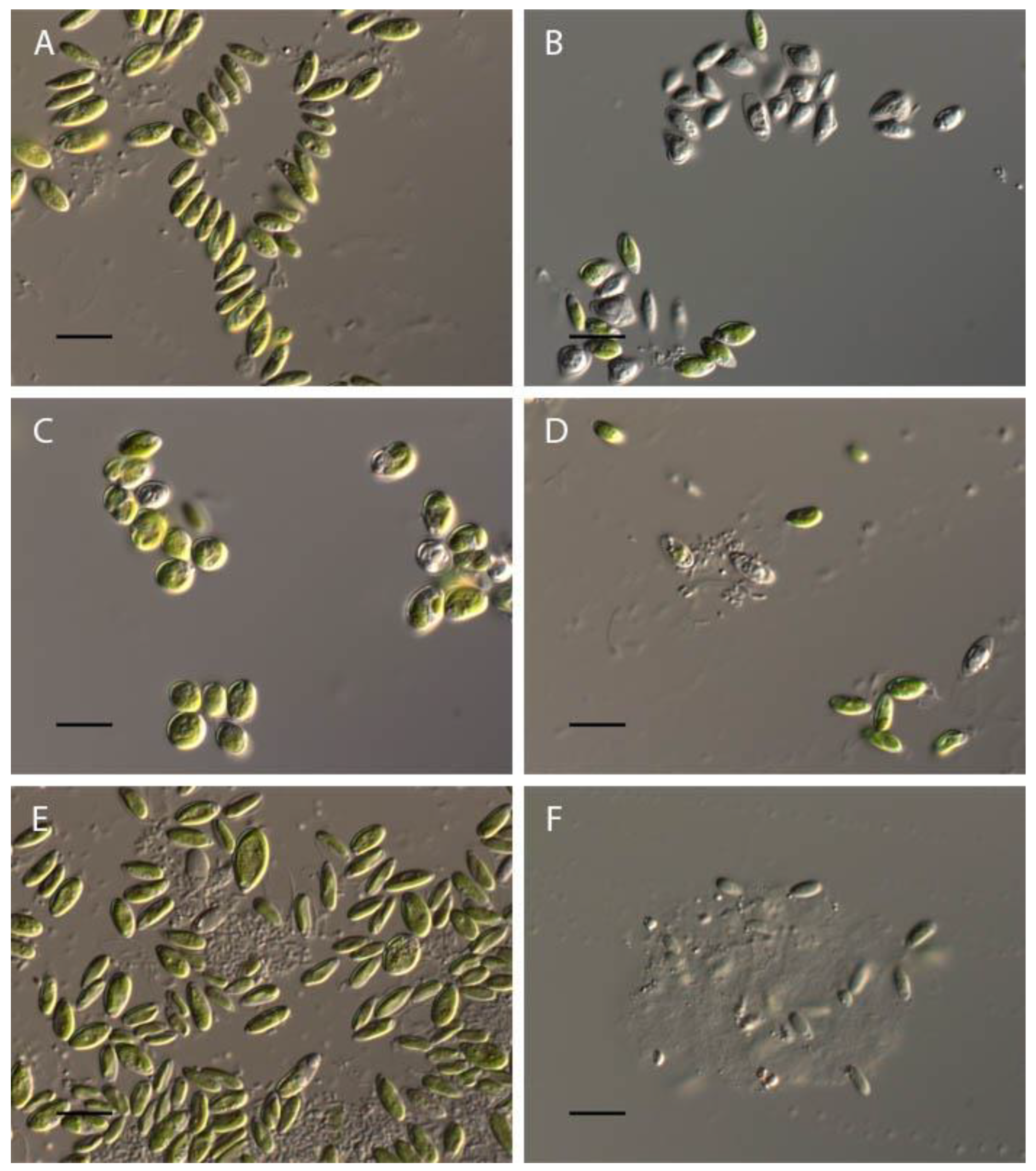 Preprints 90850 g009