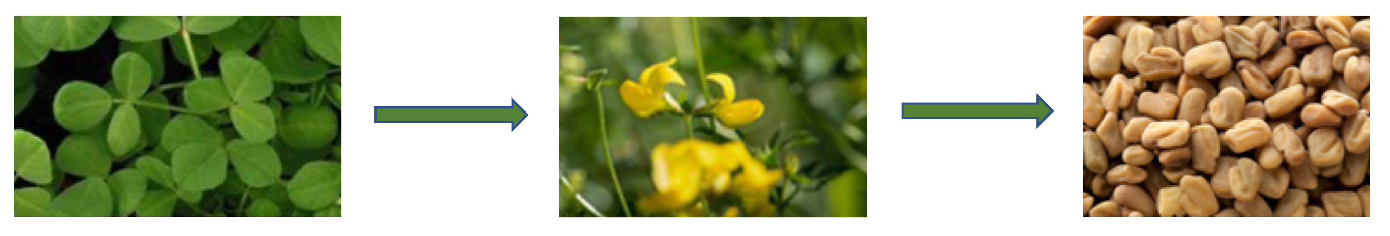 Preprints 84180 g001