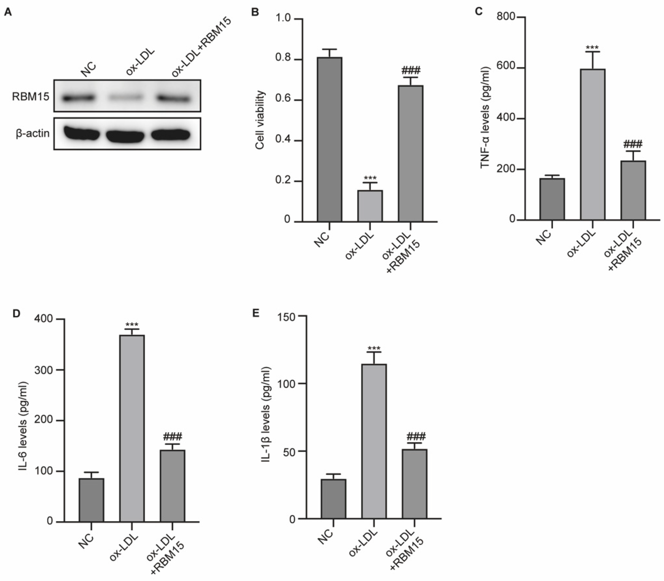 Preprints 164884 g001