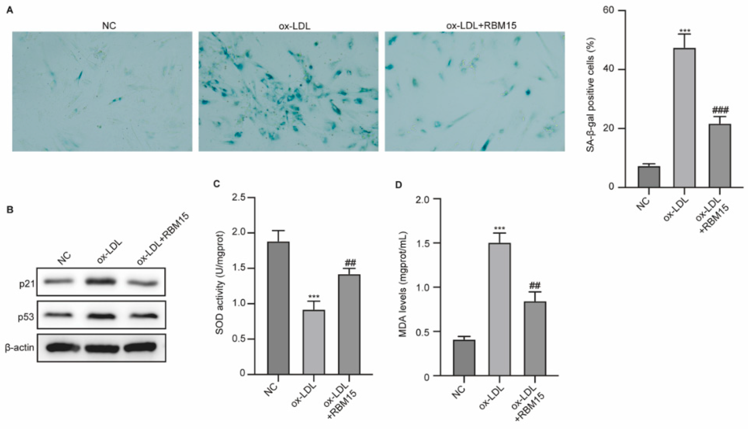 Preprints 164884 g002