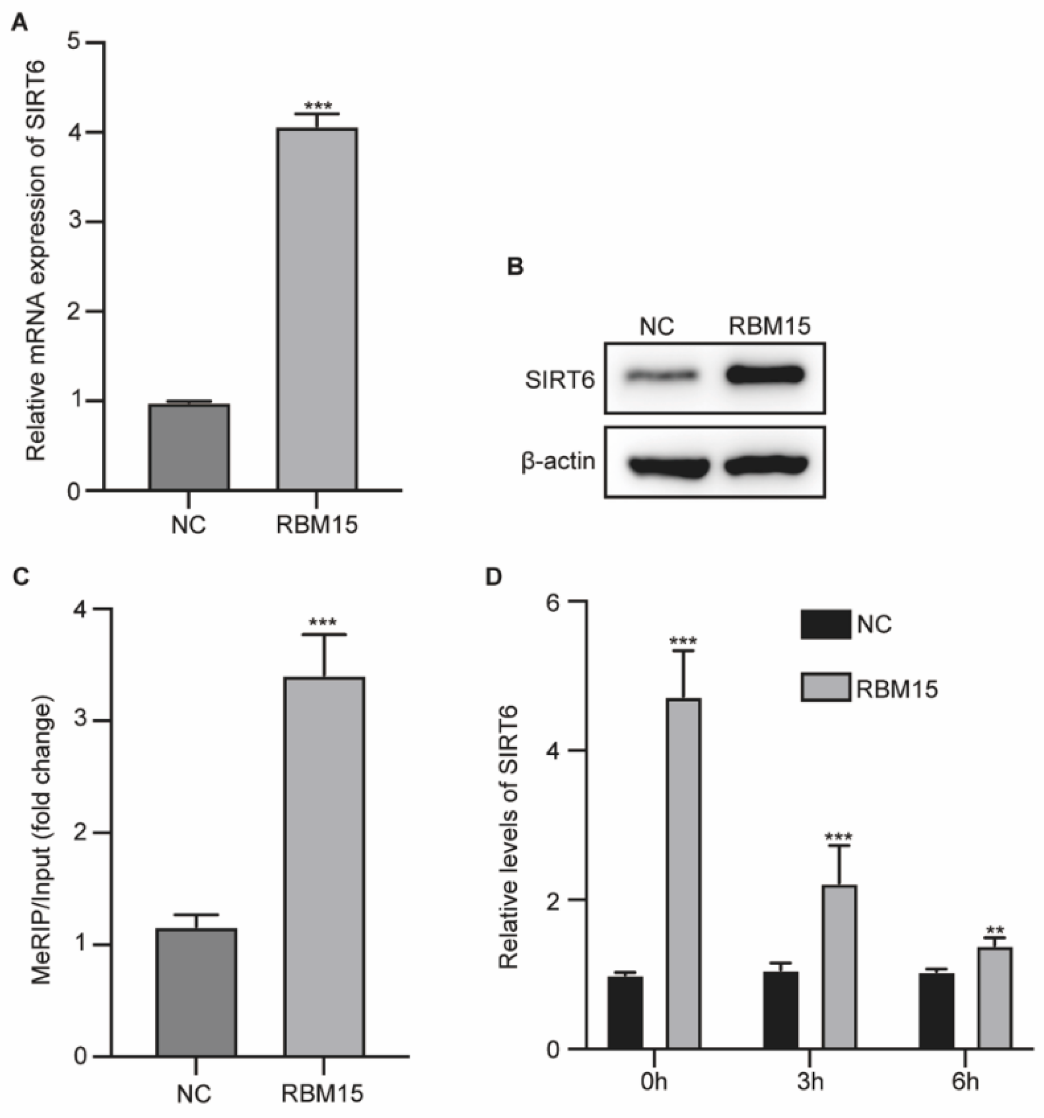 Preprints 164884 g003