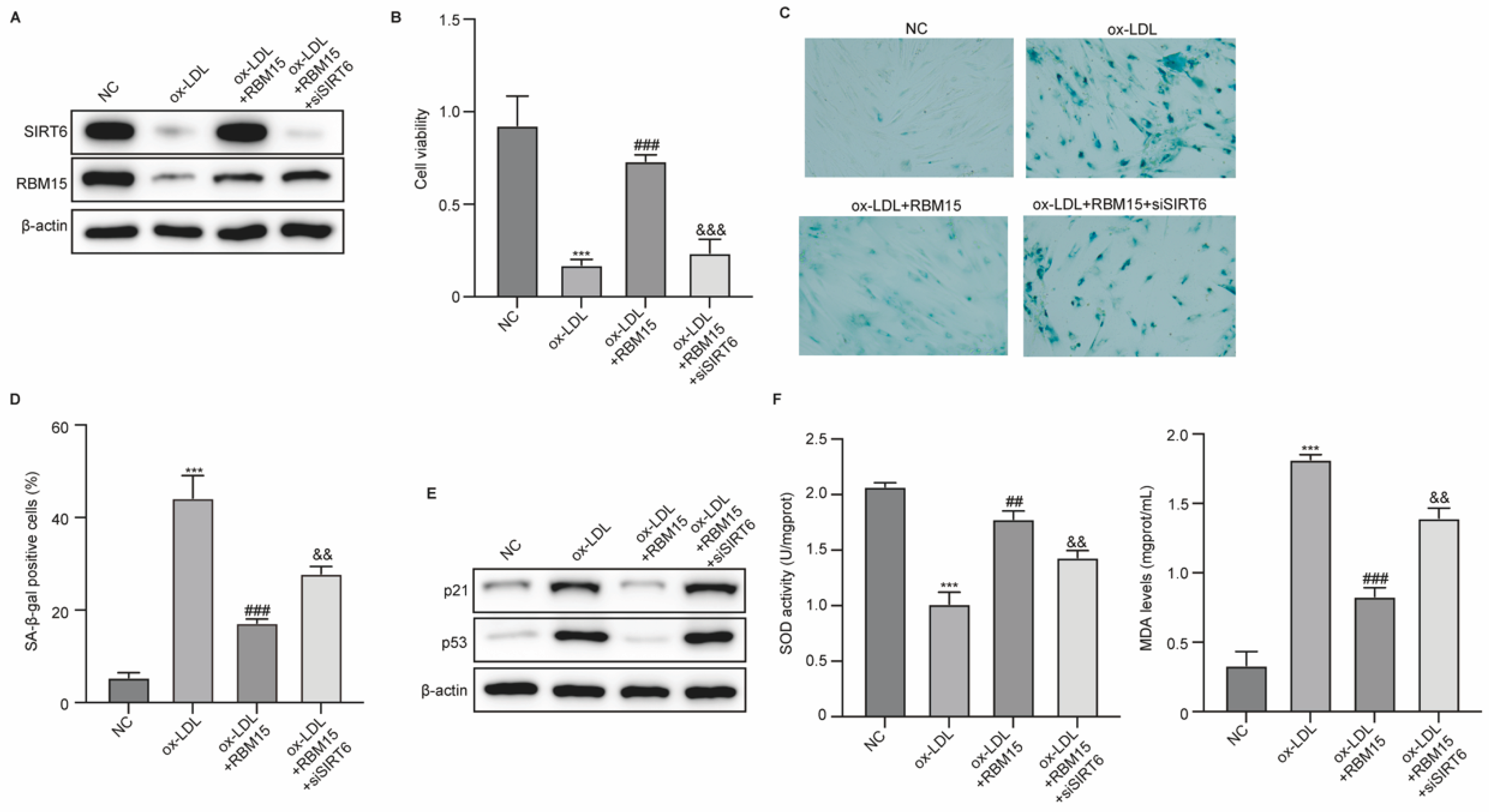 Preprints 164884 g004