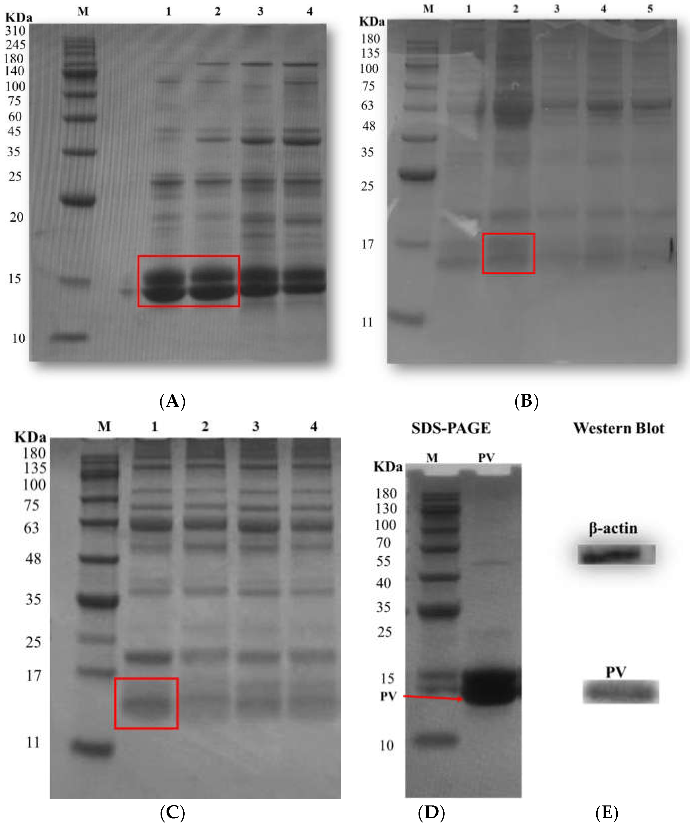 Preprints 200837 g001