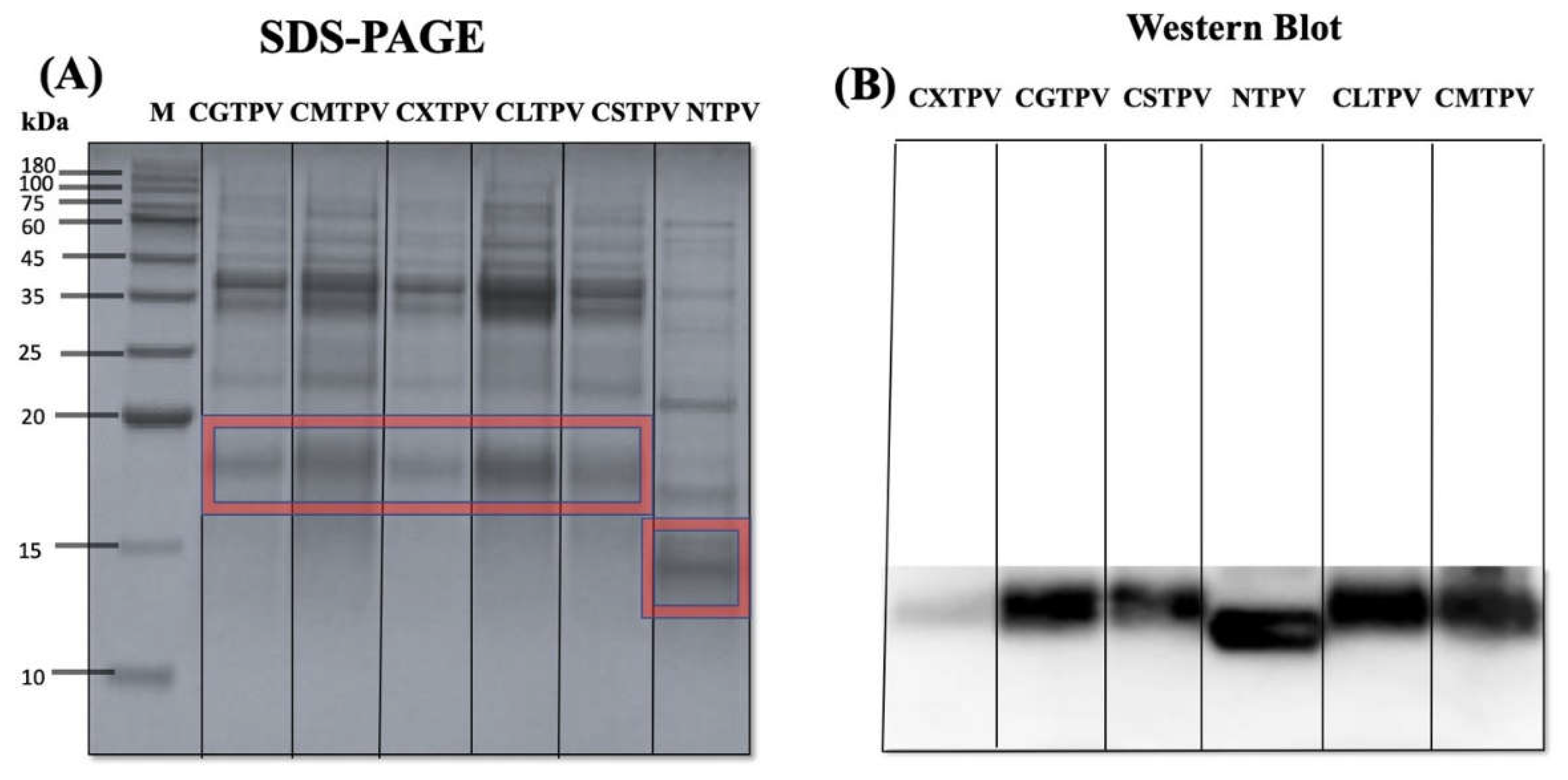 Preprints 200837 g003