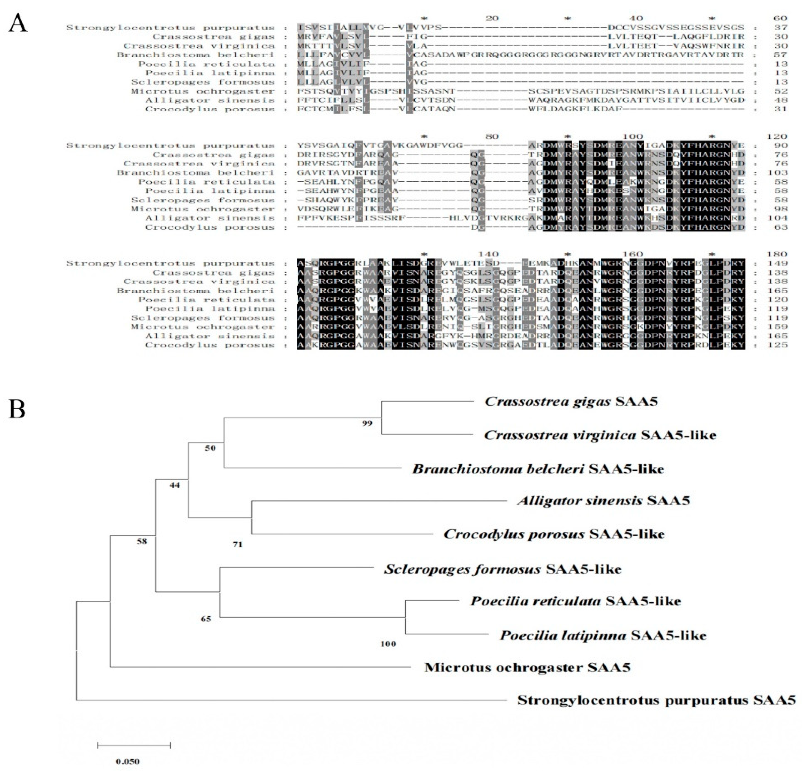 Preprints 145060 g002