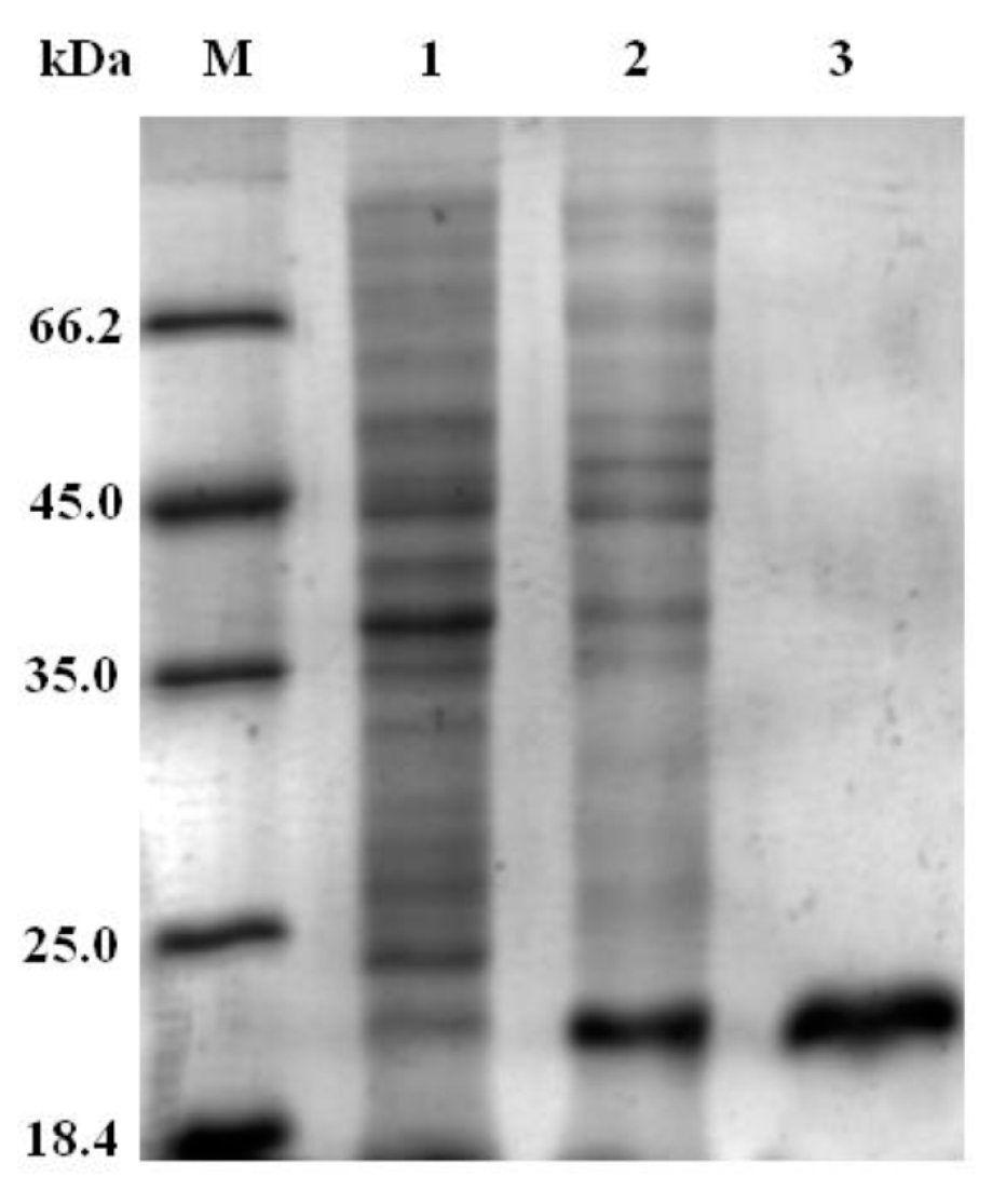 Preprints 145060 g005