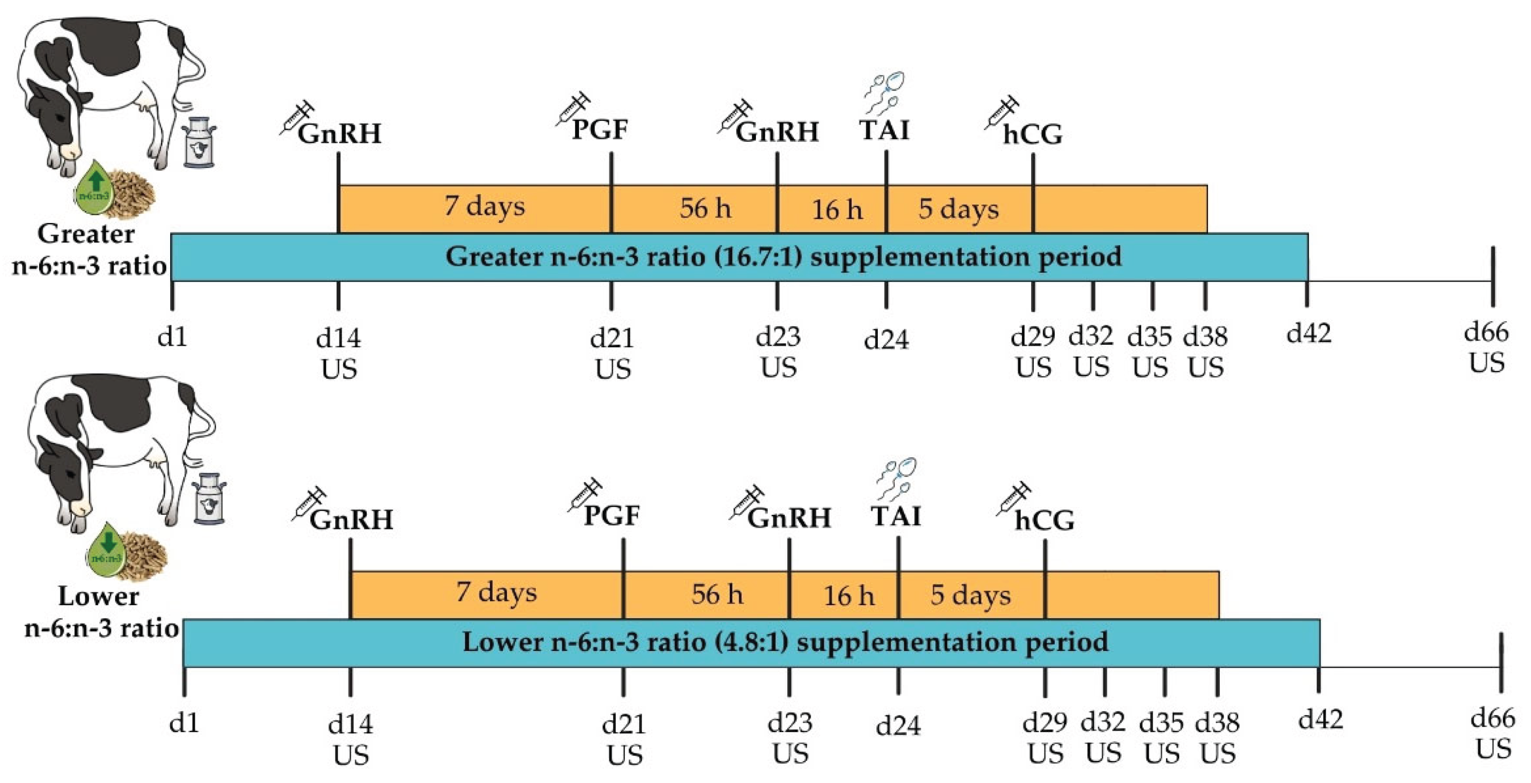 Preprints 208205 g001