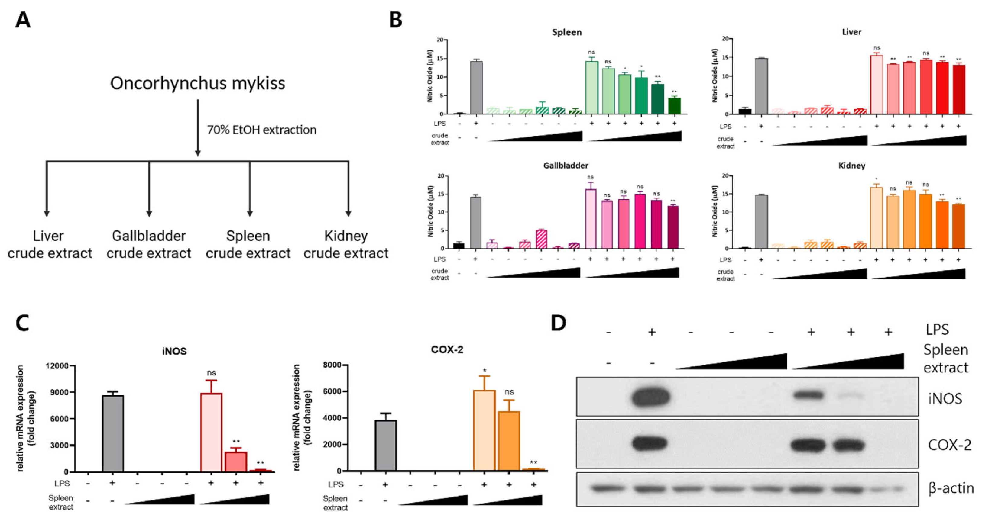 Preprints 166163 g001