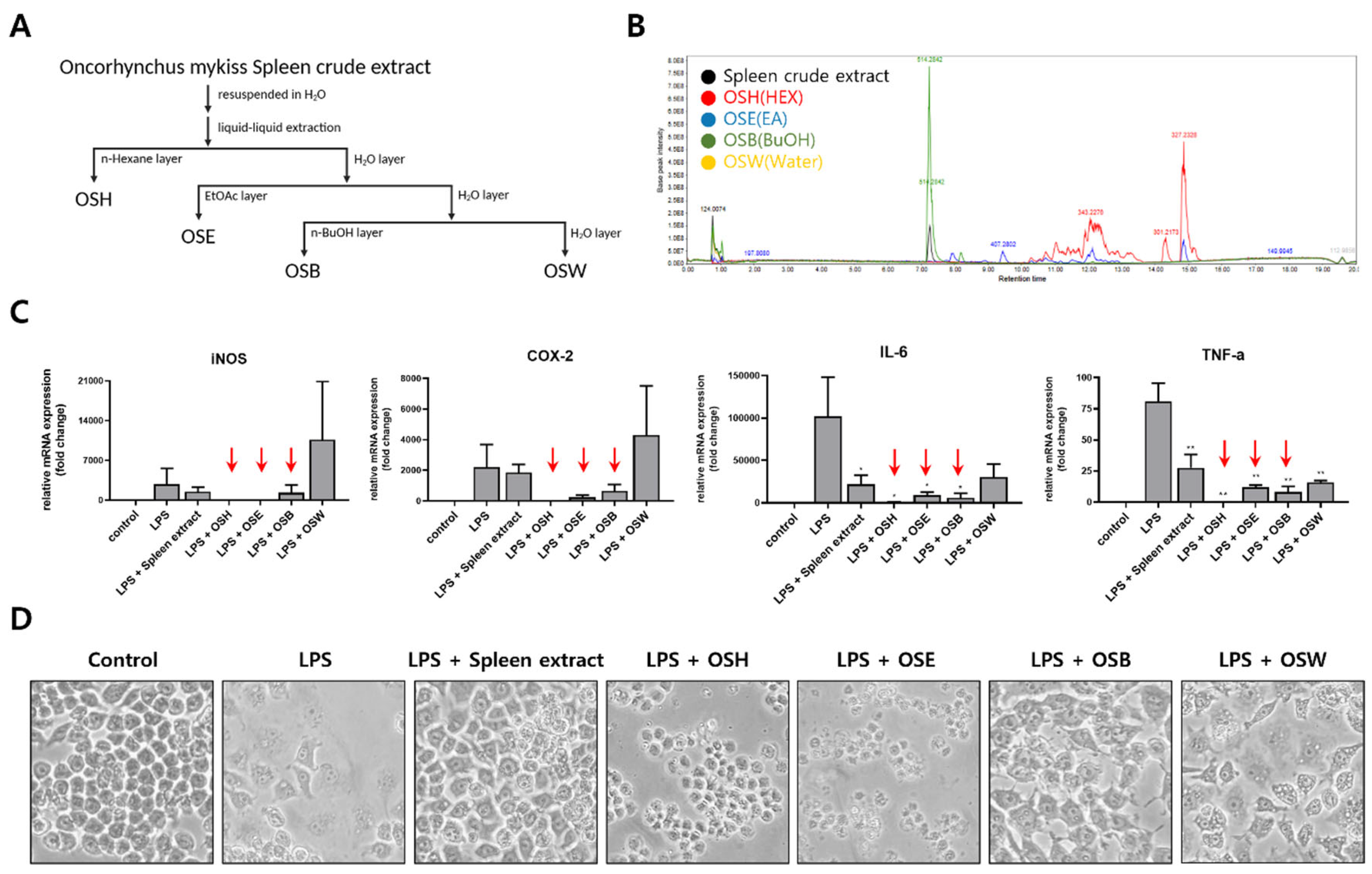 Preprints 166163 g002