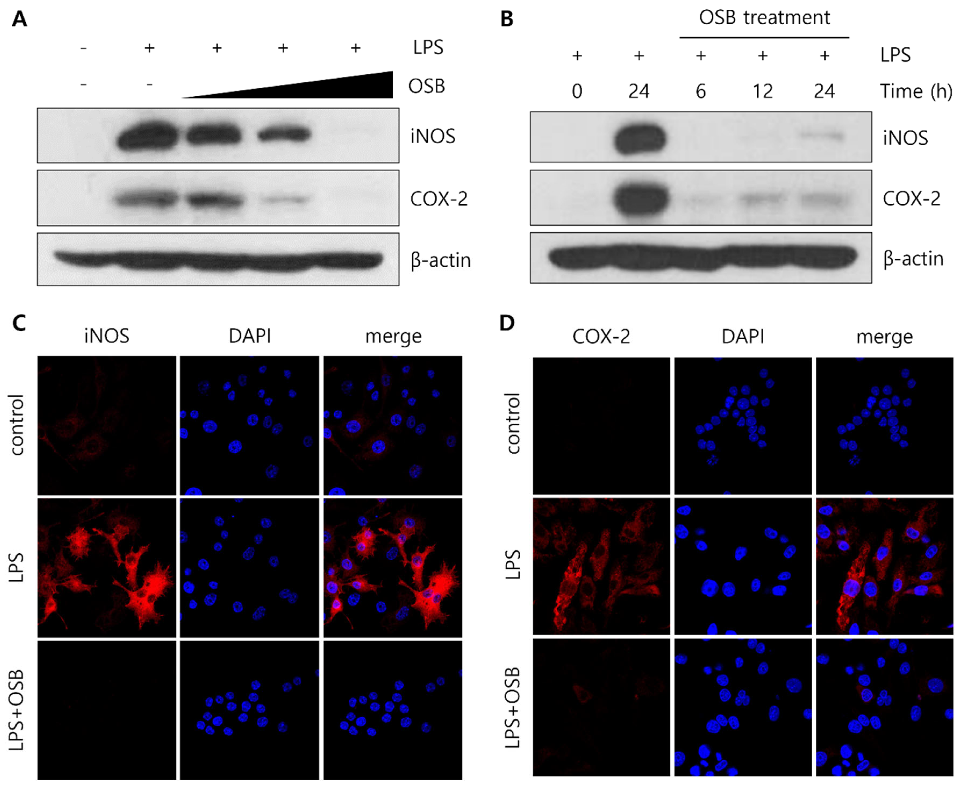 Preprints 166163 g003