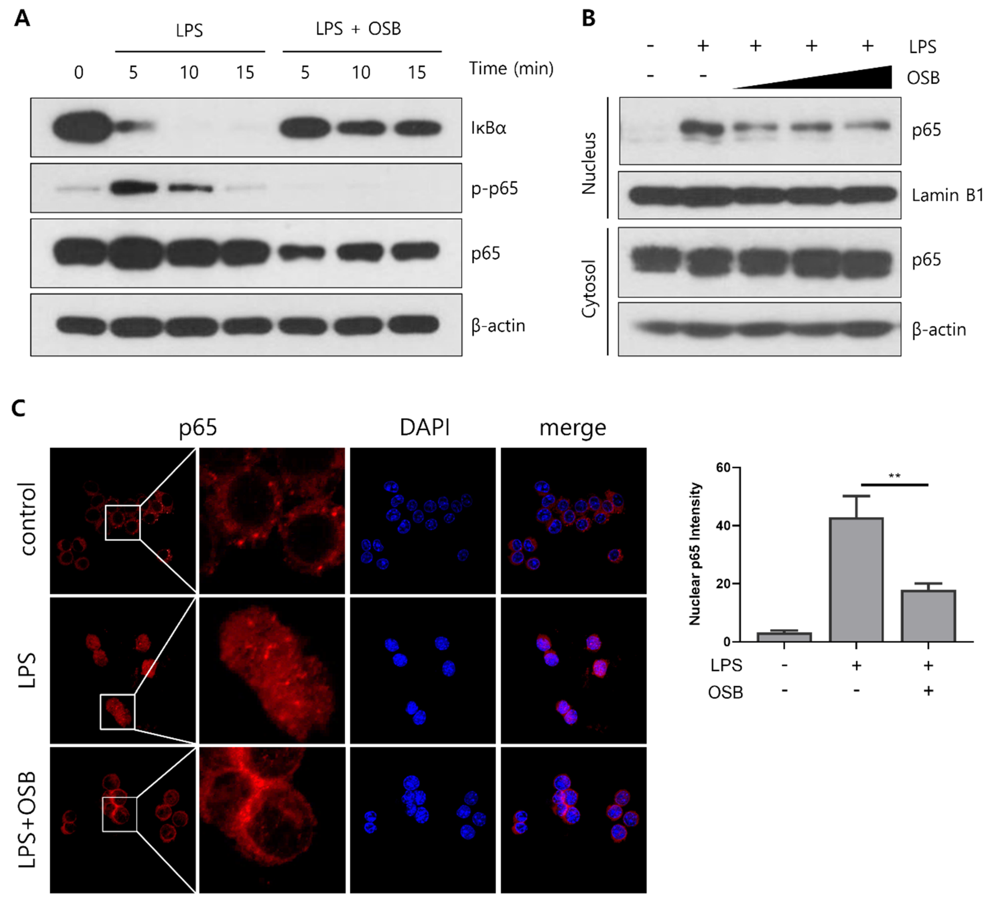 Preprints 166163 g004