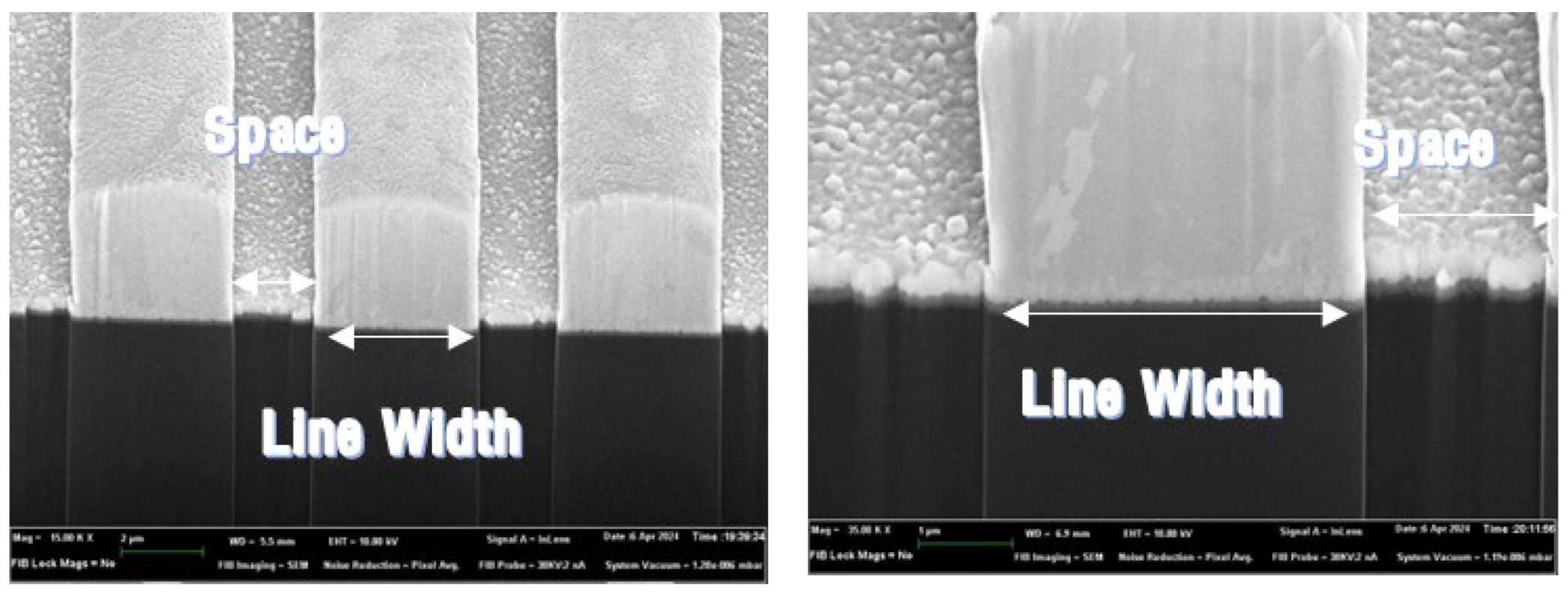 Preprints 192600 g006