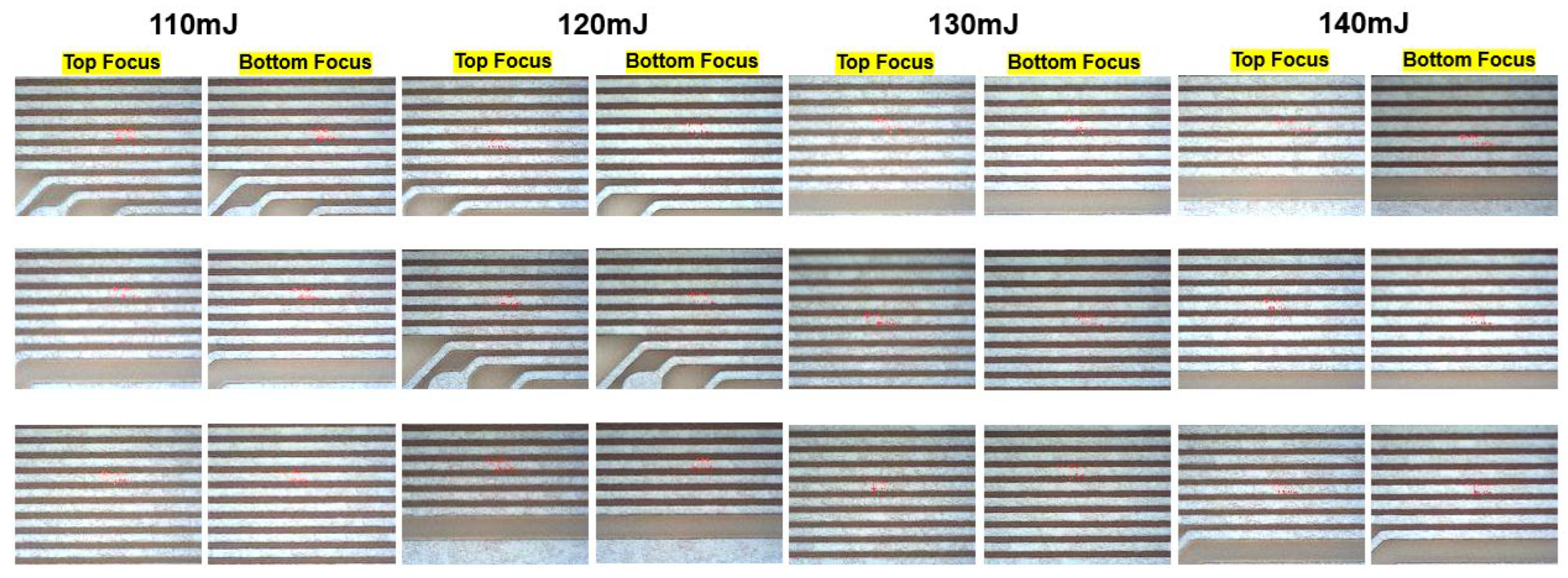 Preprints 192600 g007