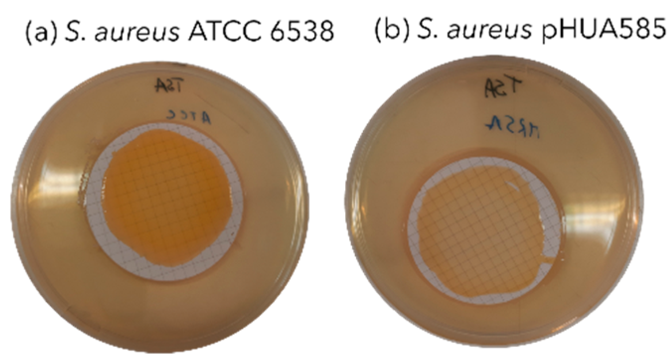 Preprints 184055 g004