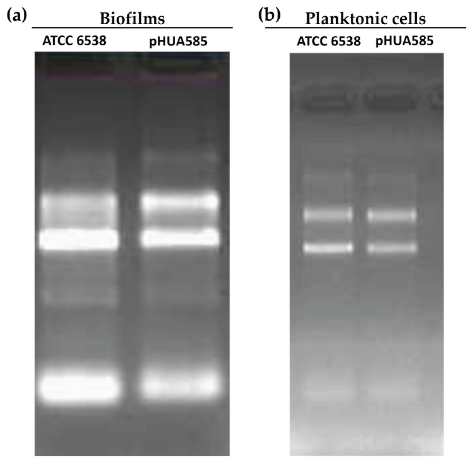 Preprints 184055 g005