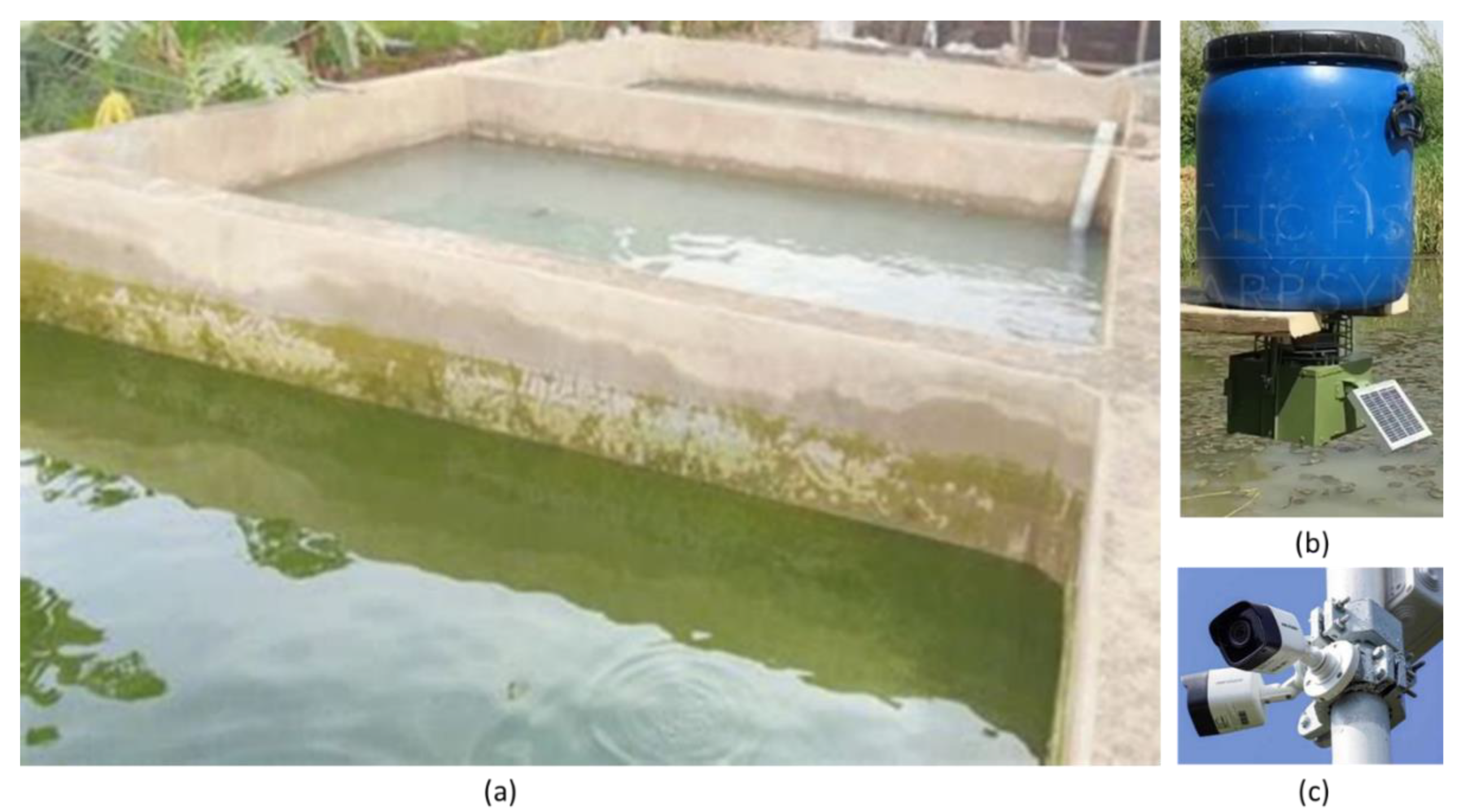 Preprints 166070 g002