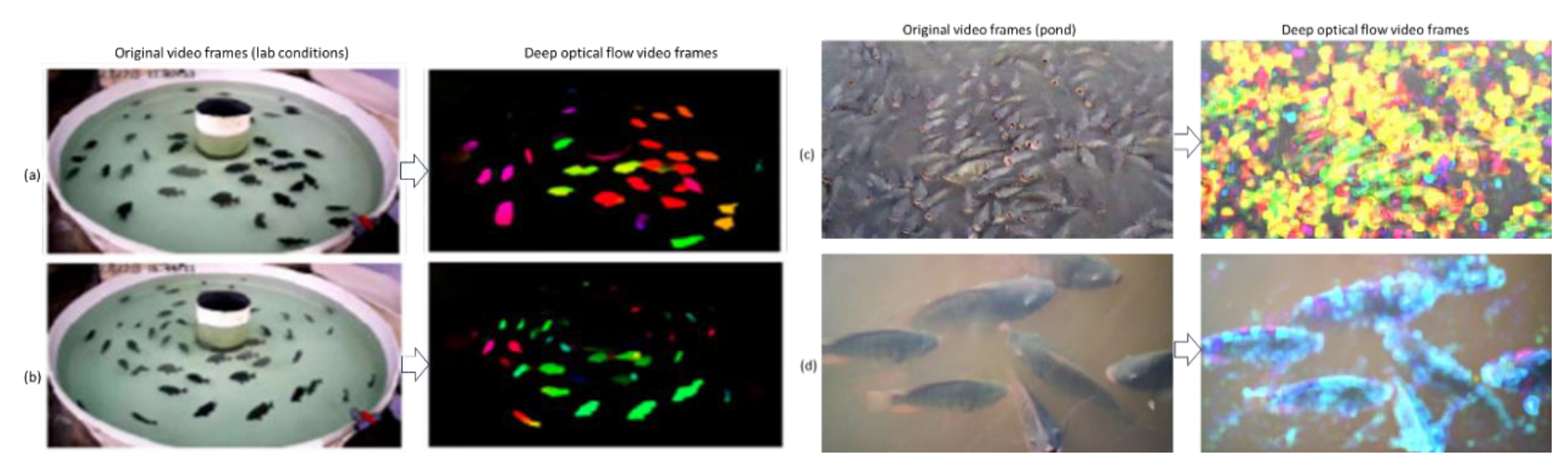 Preprints 166070 g005