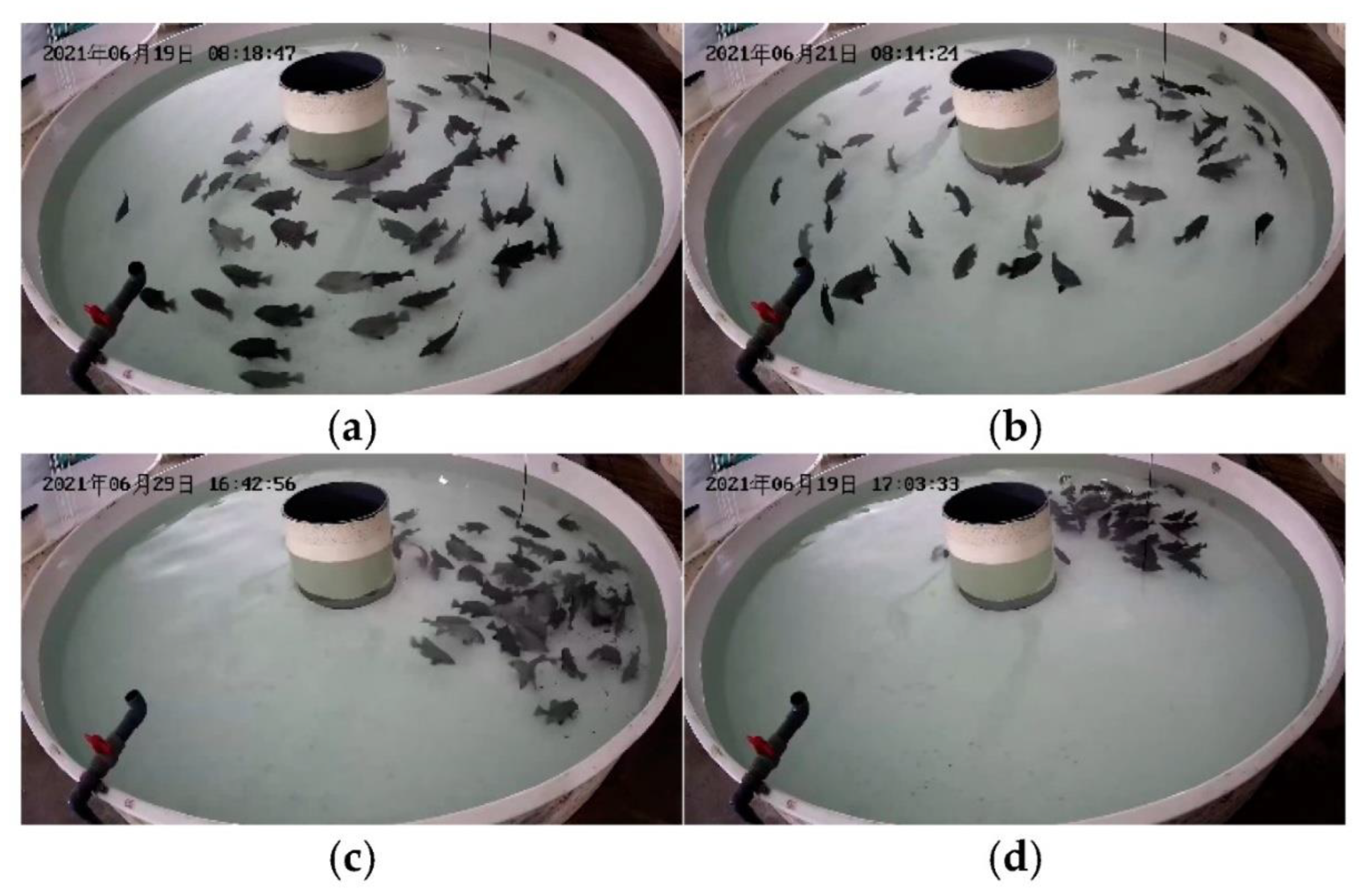 Preprints 166070 g006