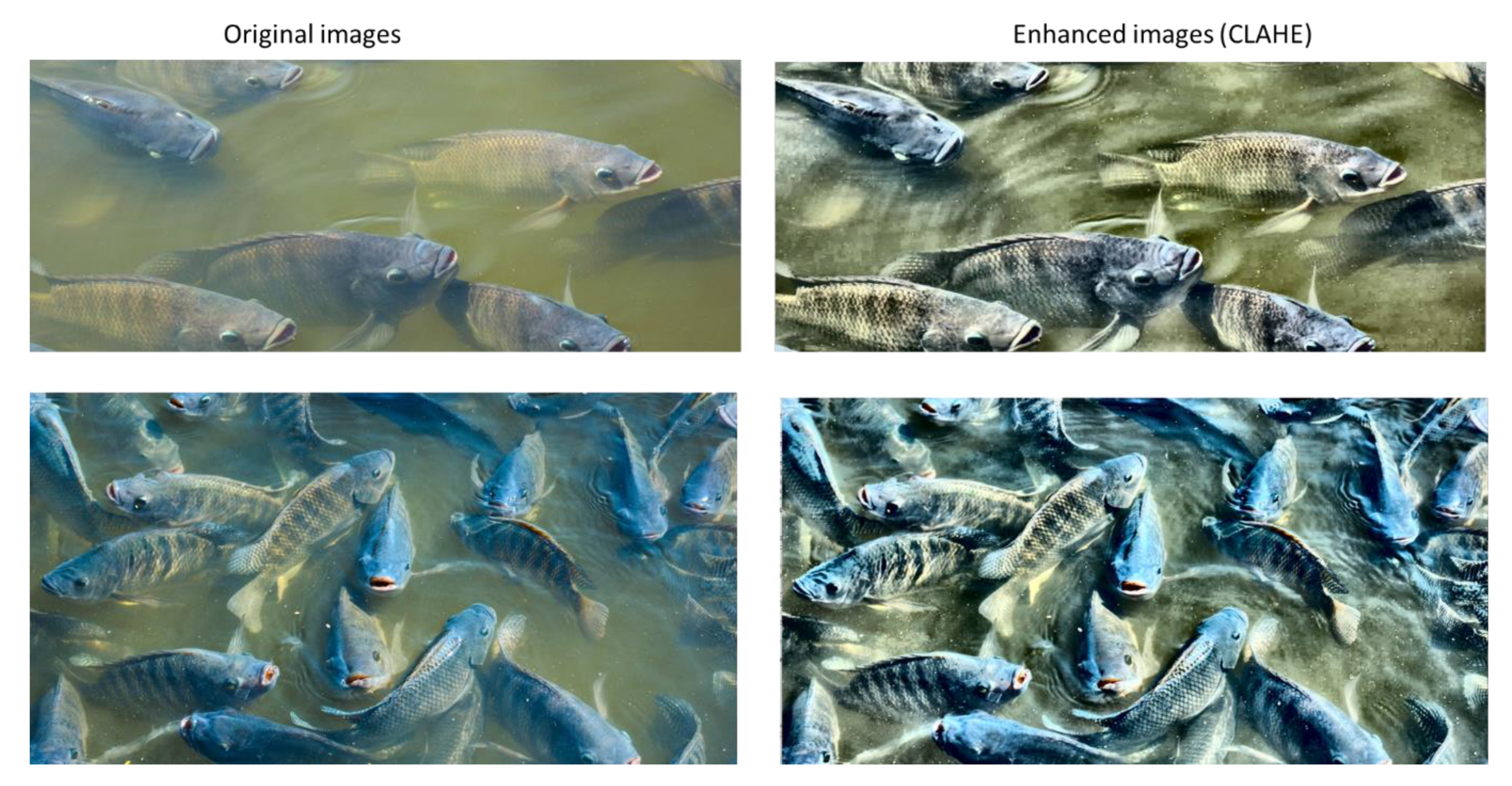 Preprints 166070 g009