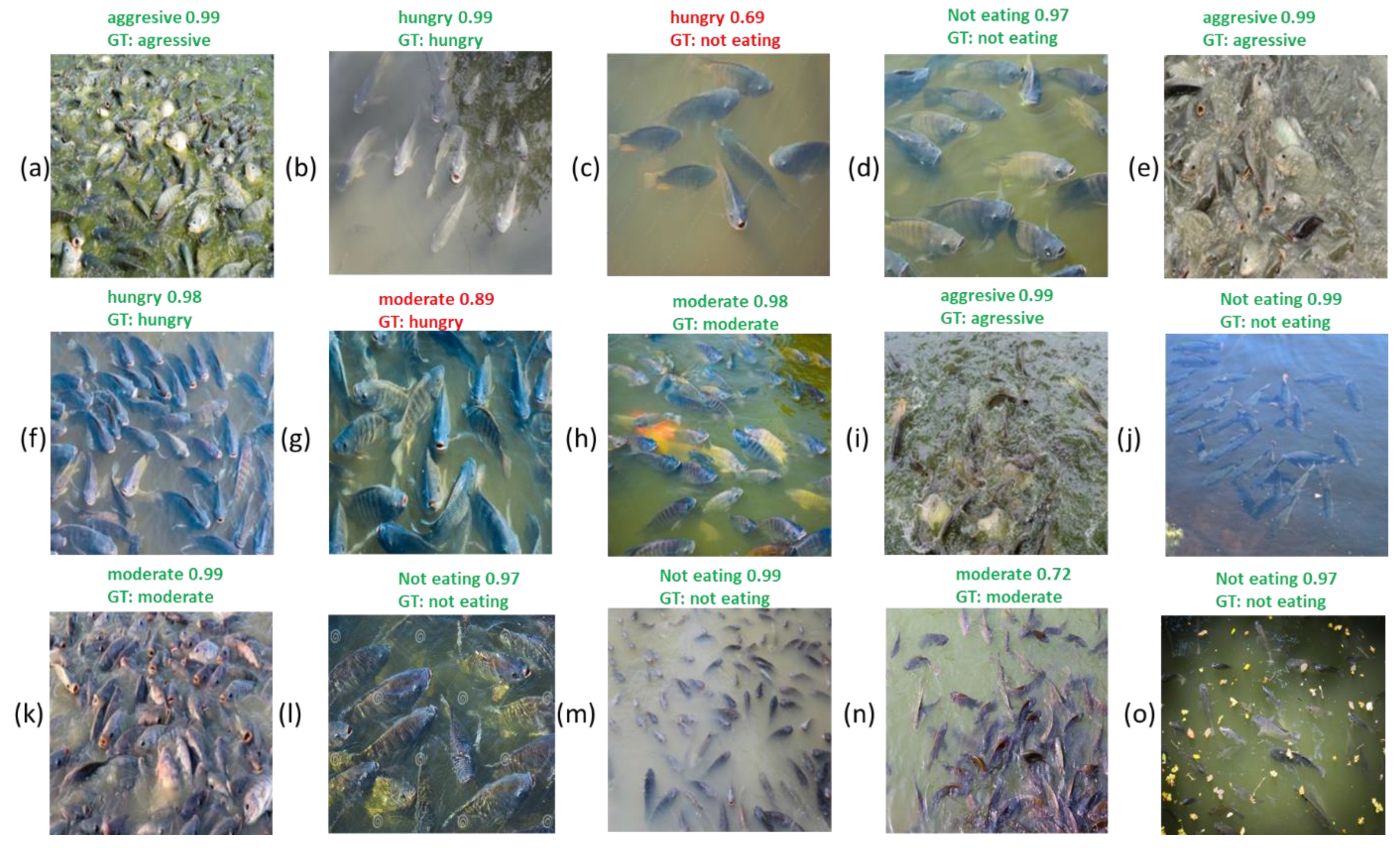 Preprints 166070 g011