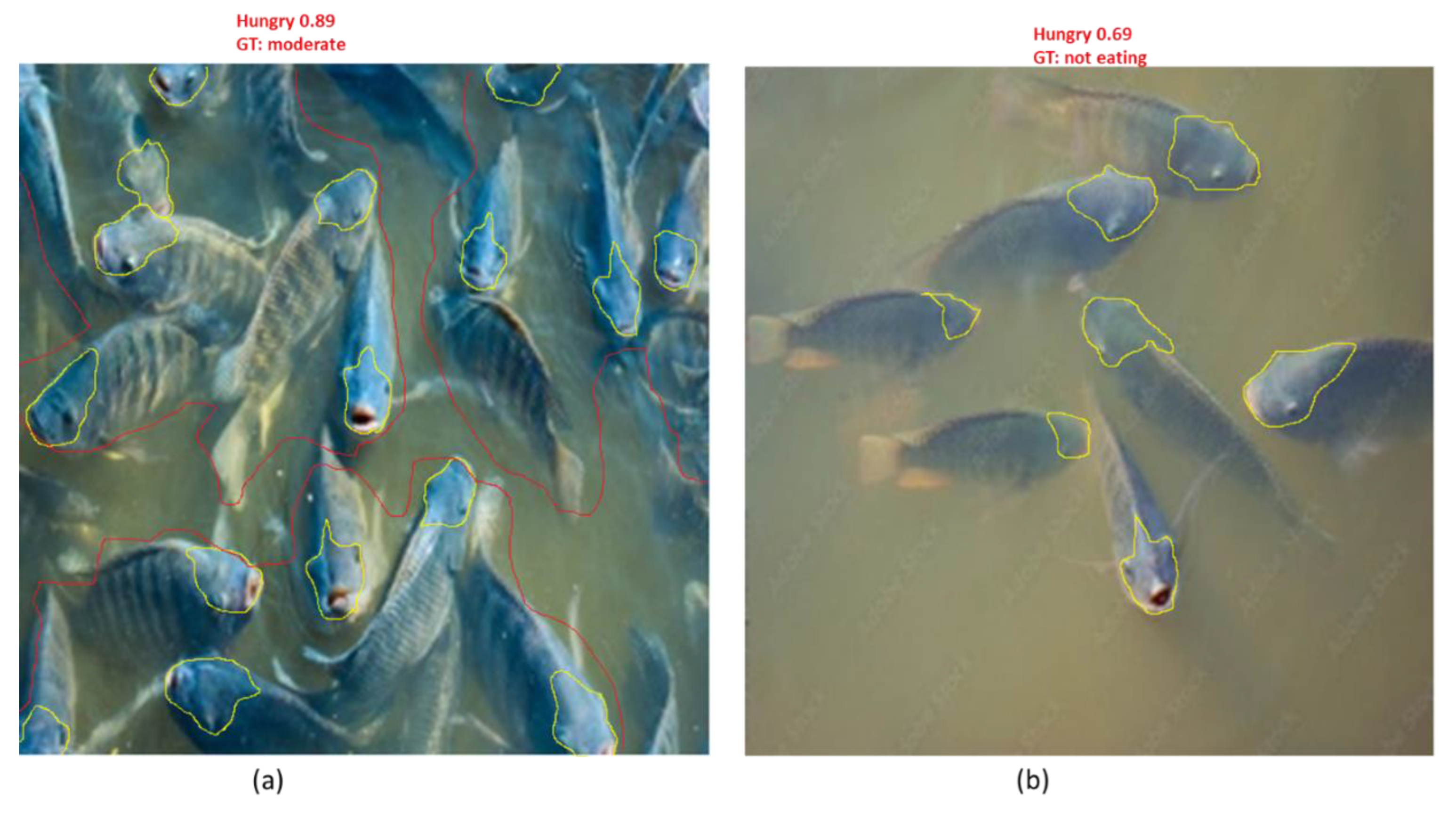 Preprints 166070 g012