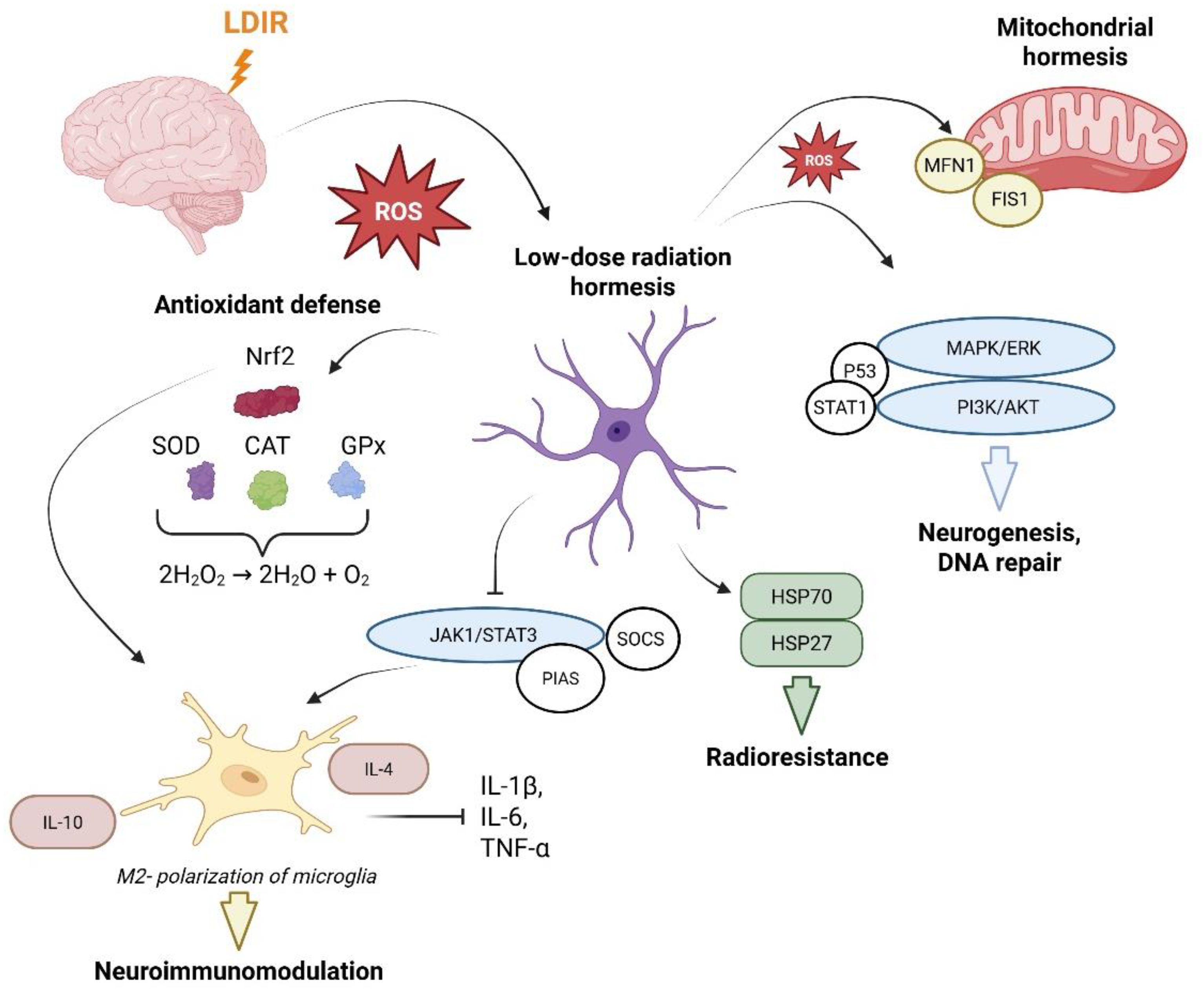 Preprints 200679 g001