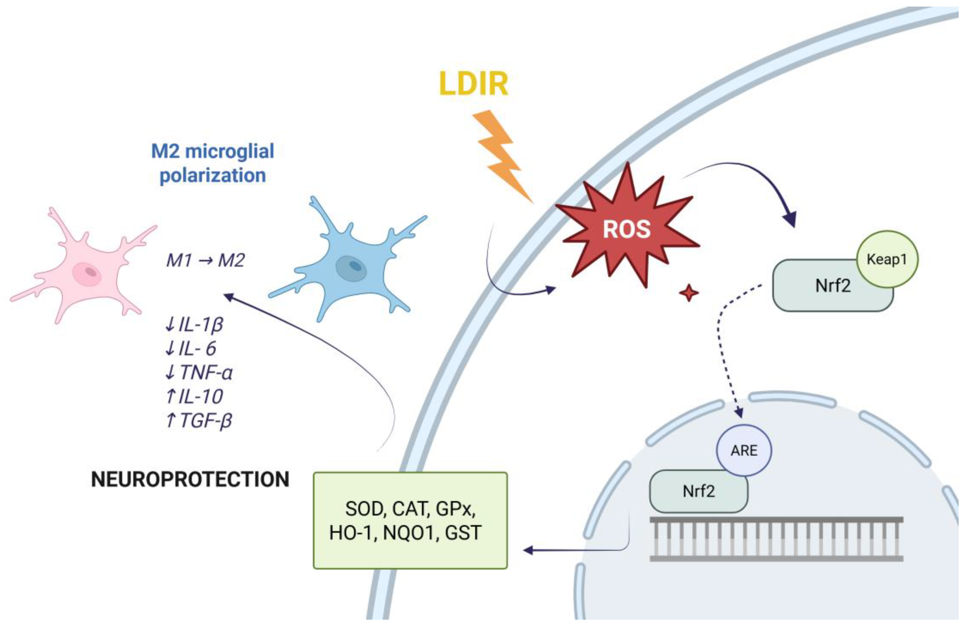 Preprints 200679 g002