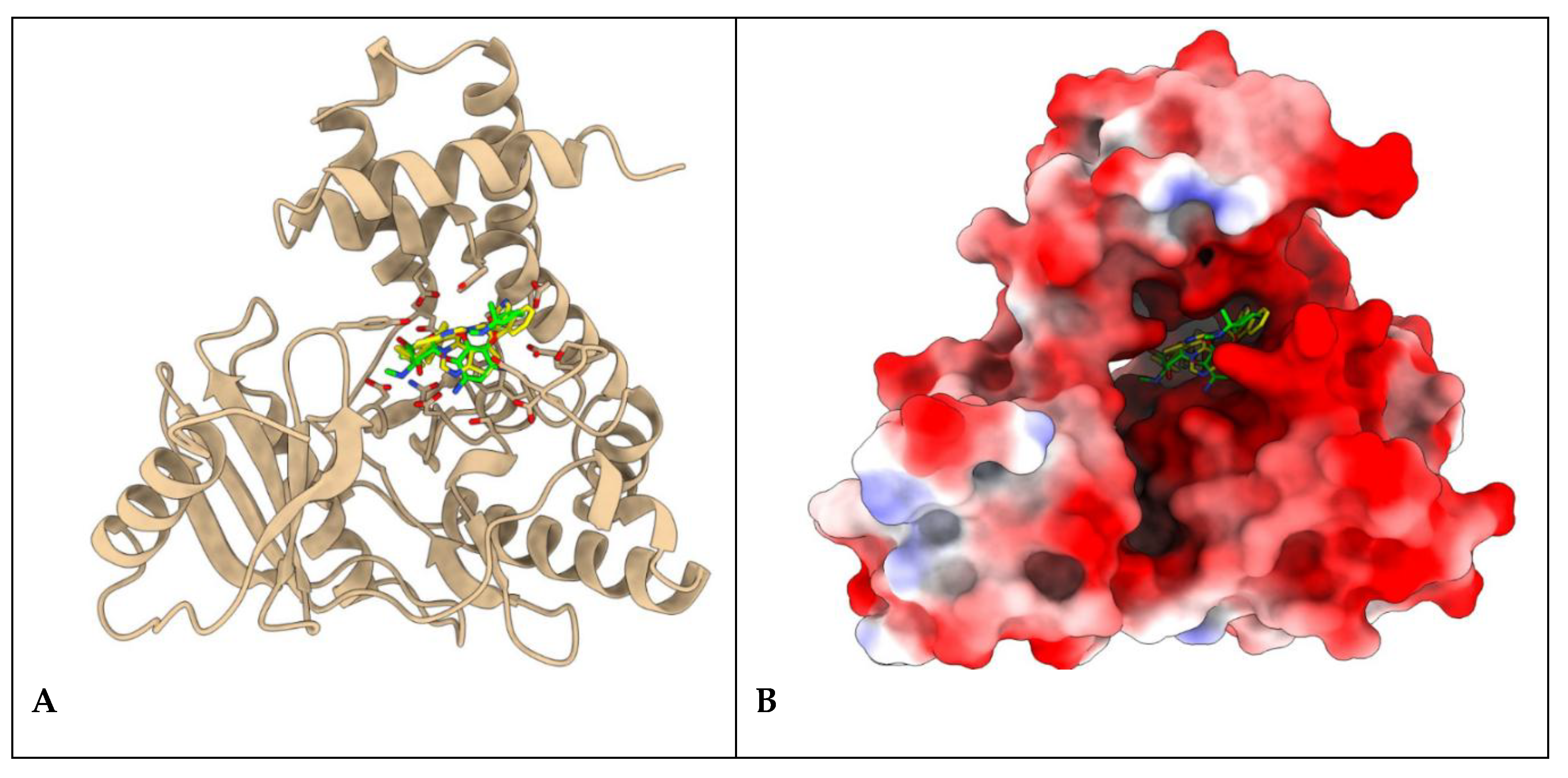 Preprints 203966 g006