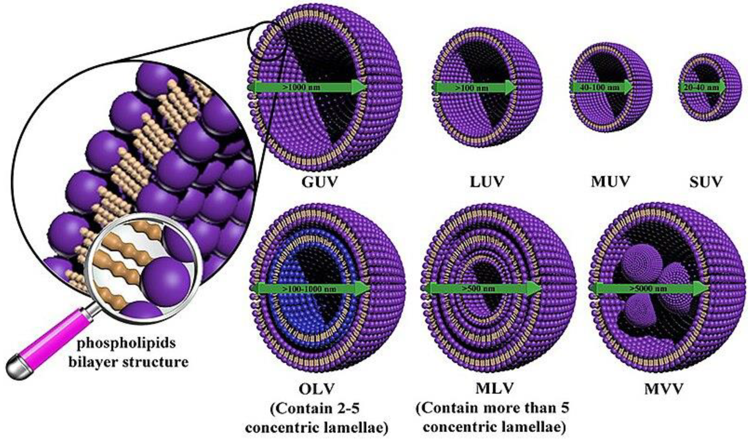 Preprints 122010 g003