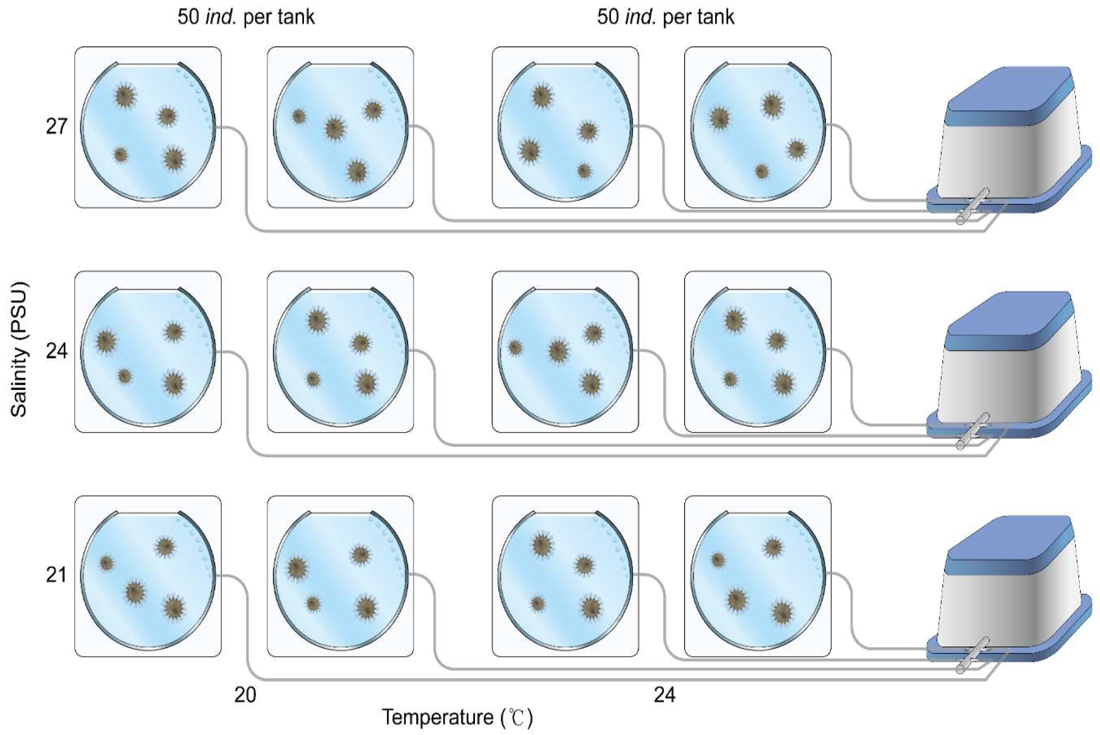 Preprints 152024 g001
