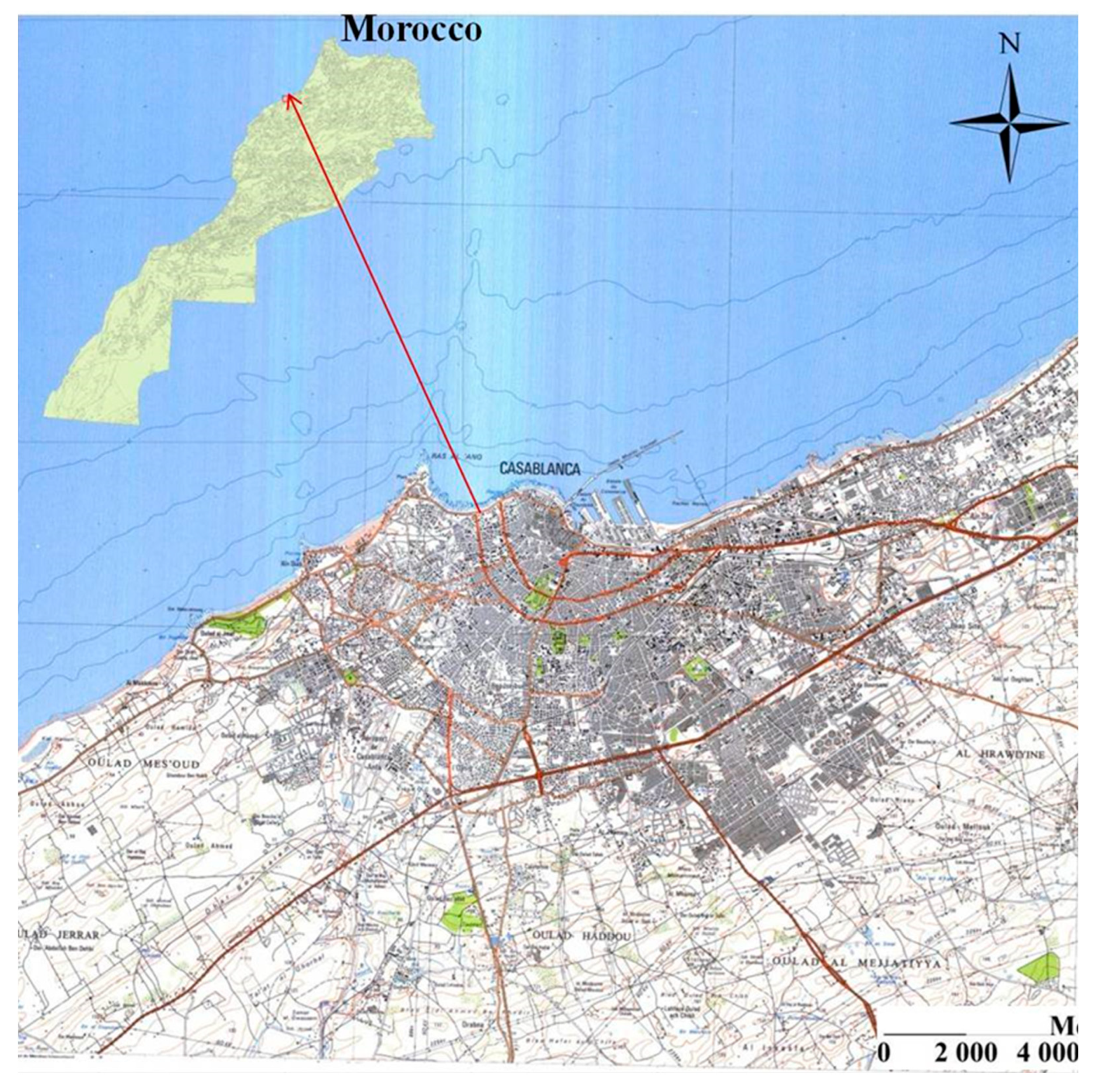 Preprints 148514 g002