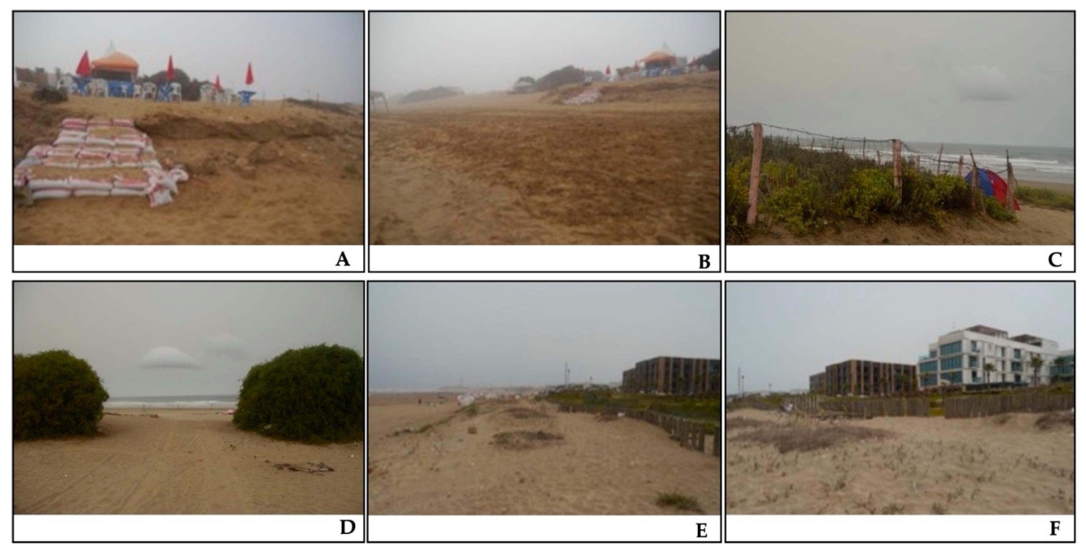 Preprints 148514 g014