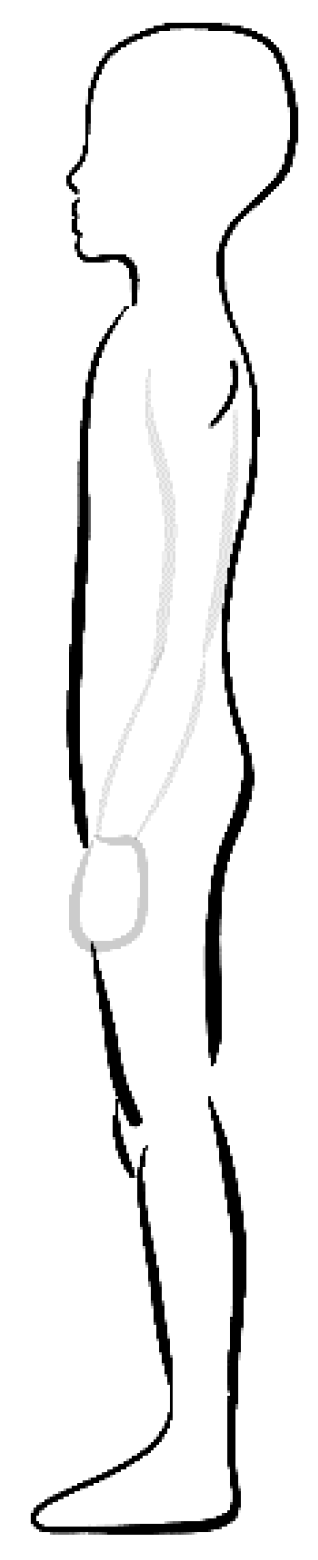 Preprints 187246 g001