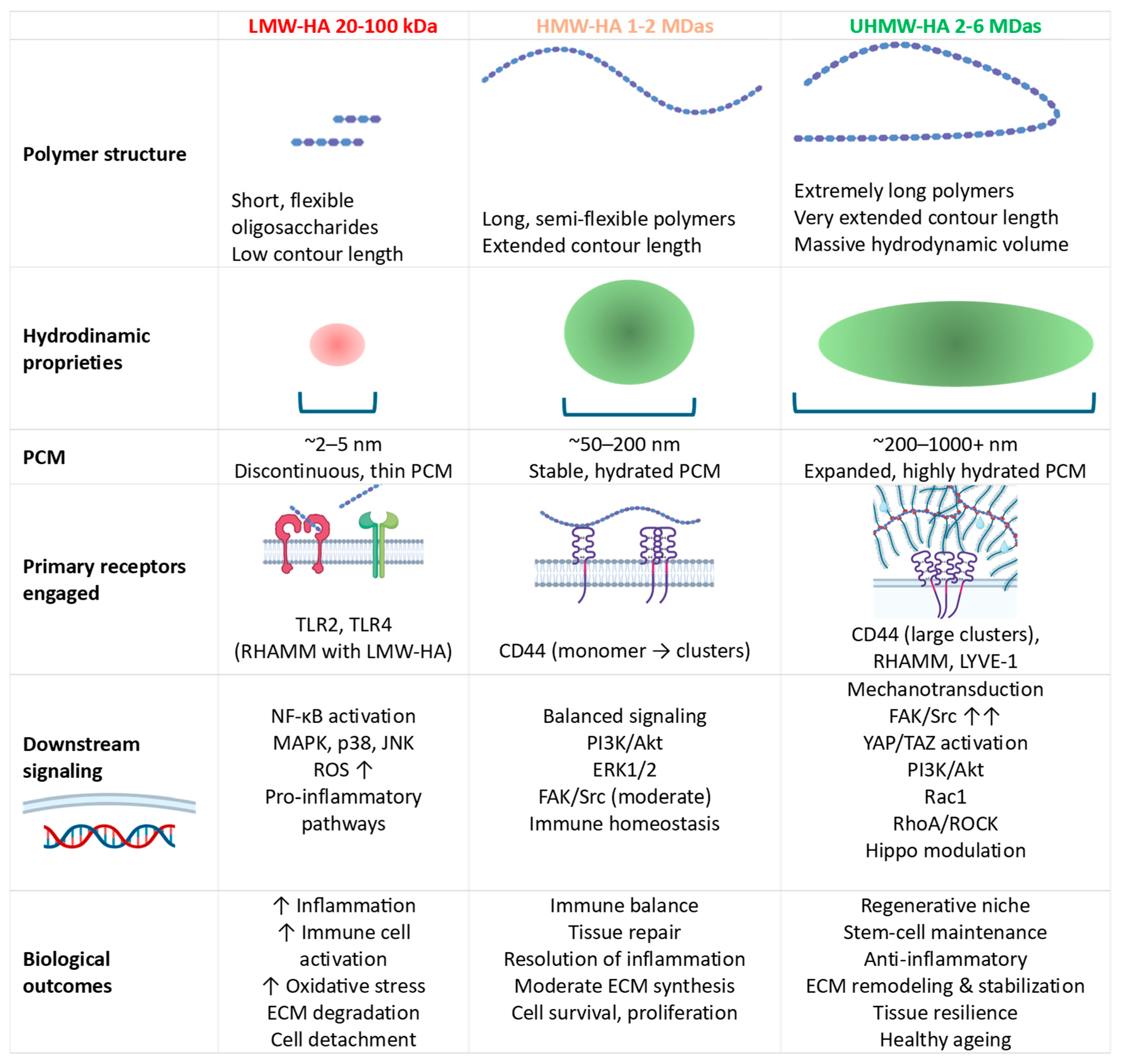 Preprints 231621 g002 Preprints 231621 g002