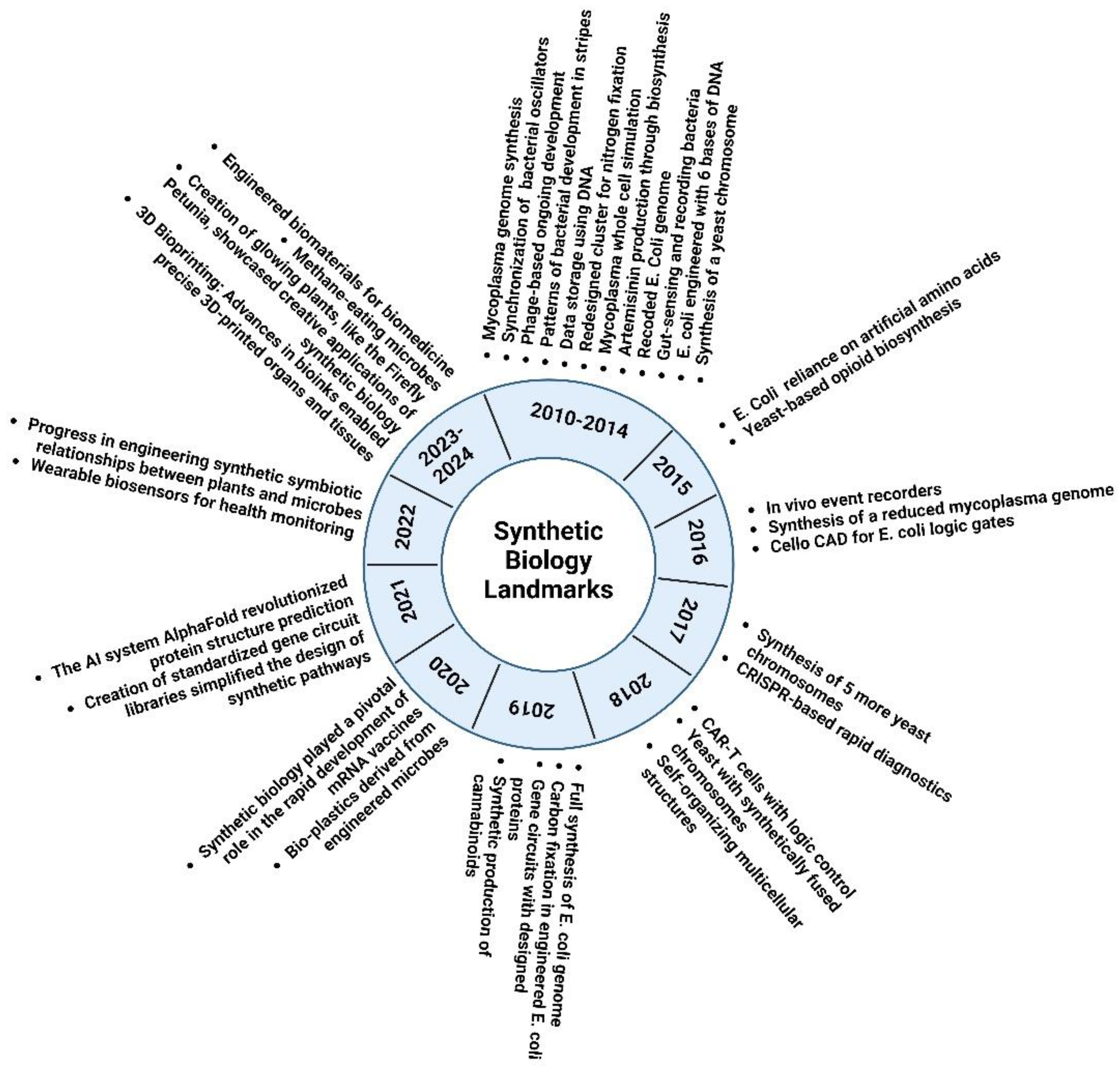 Preprints 141463 g001