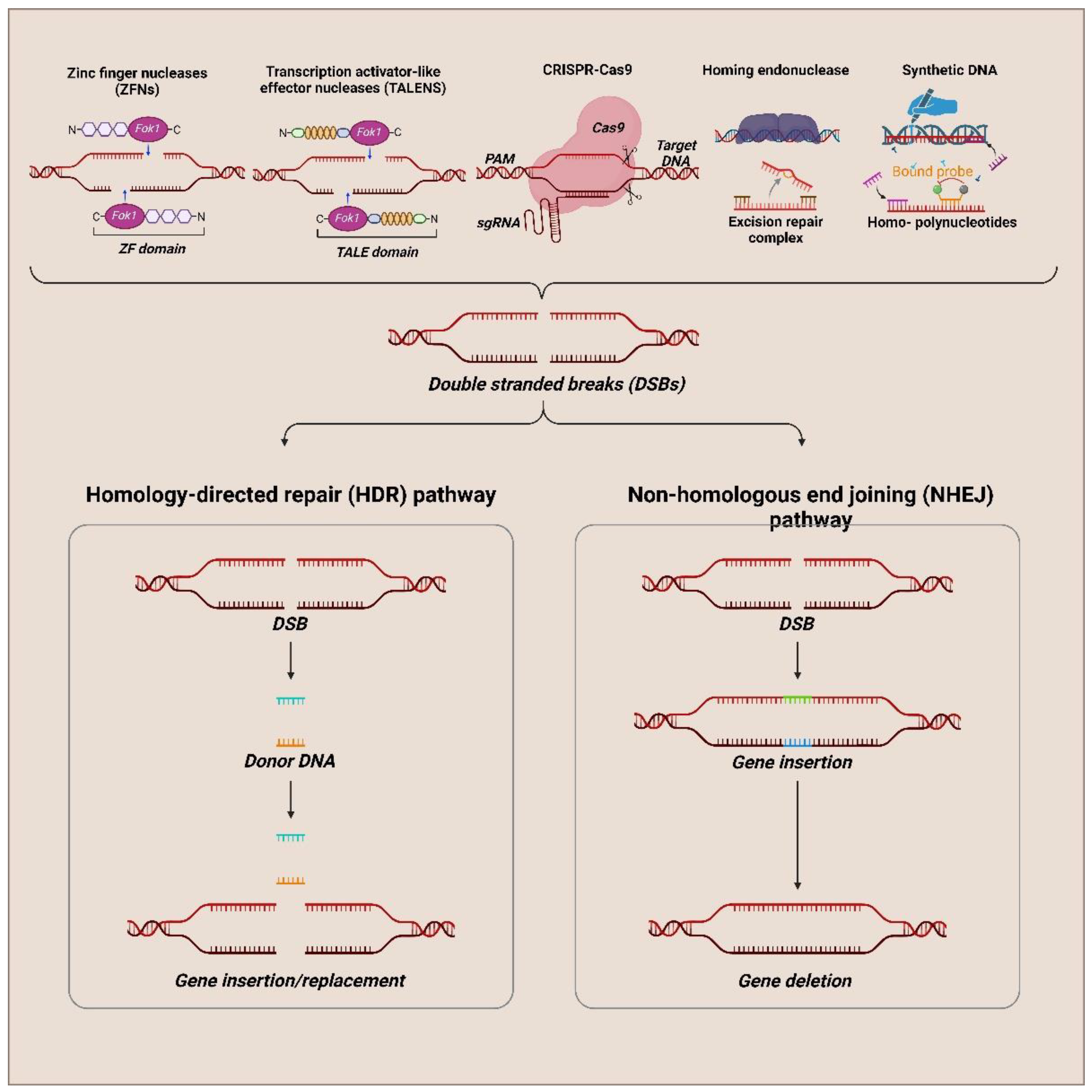 Preprints 141463 g002