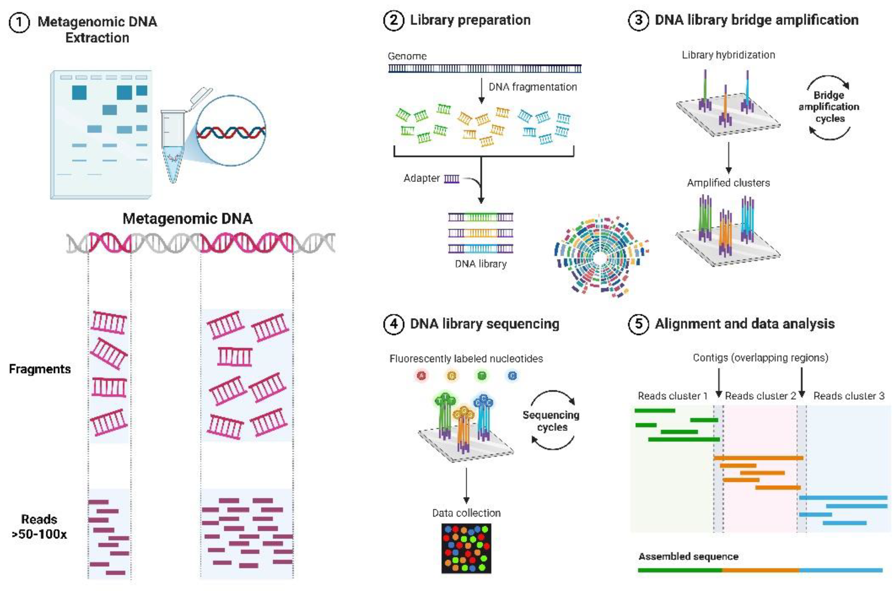 Preprints 141463 g003