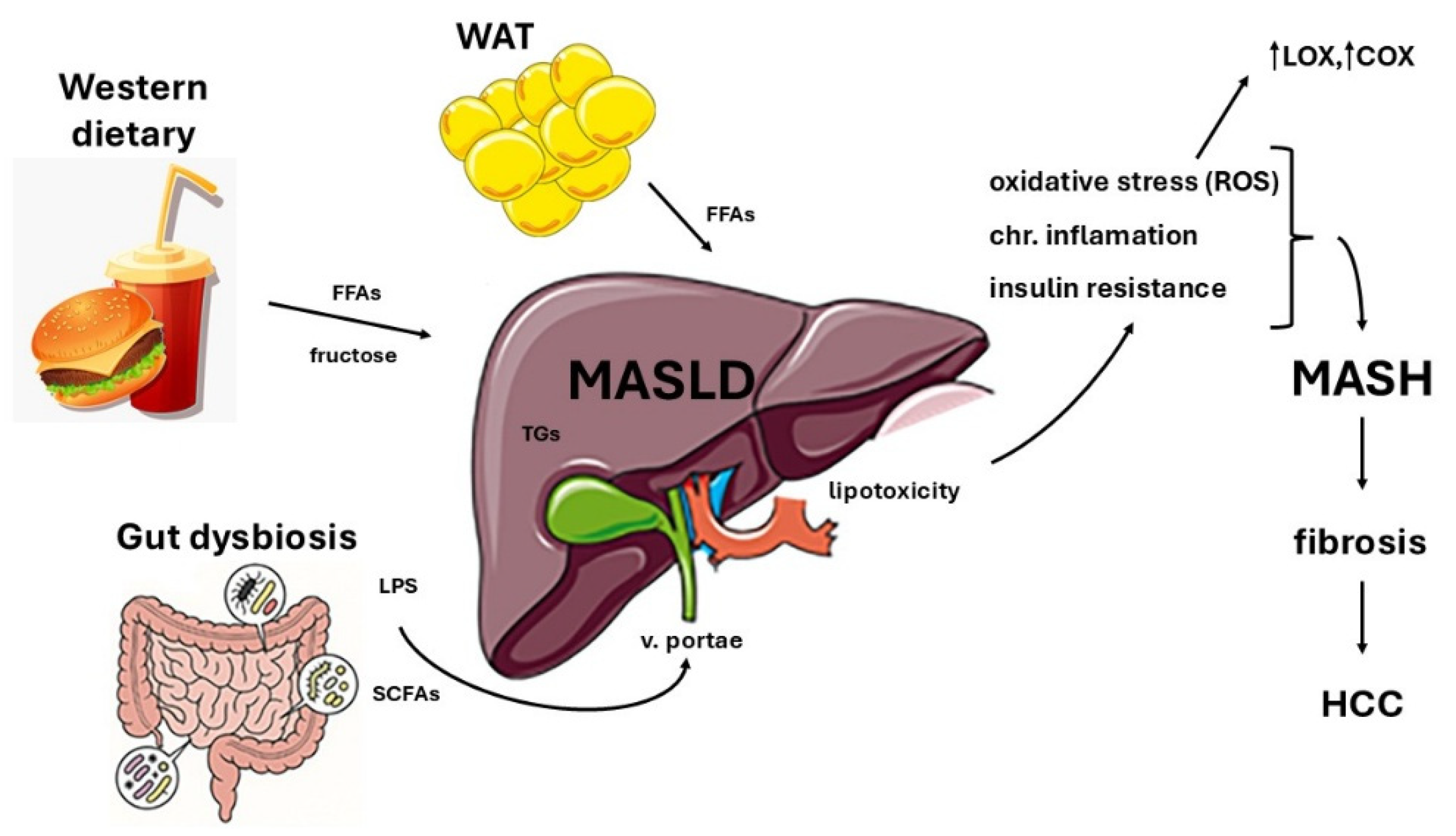Preprints 223053 g001 Preprints 223053 g001