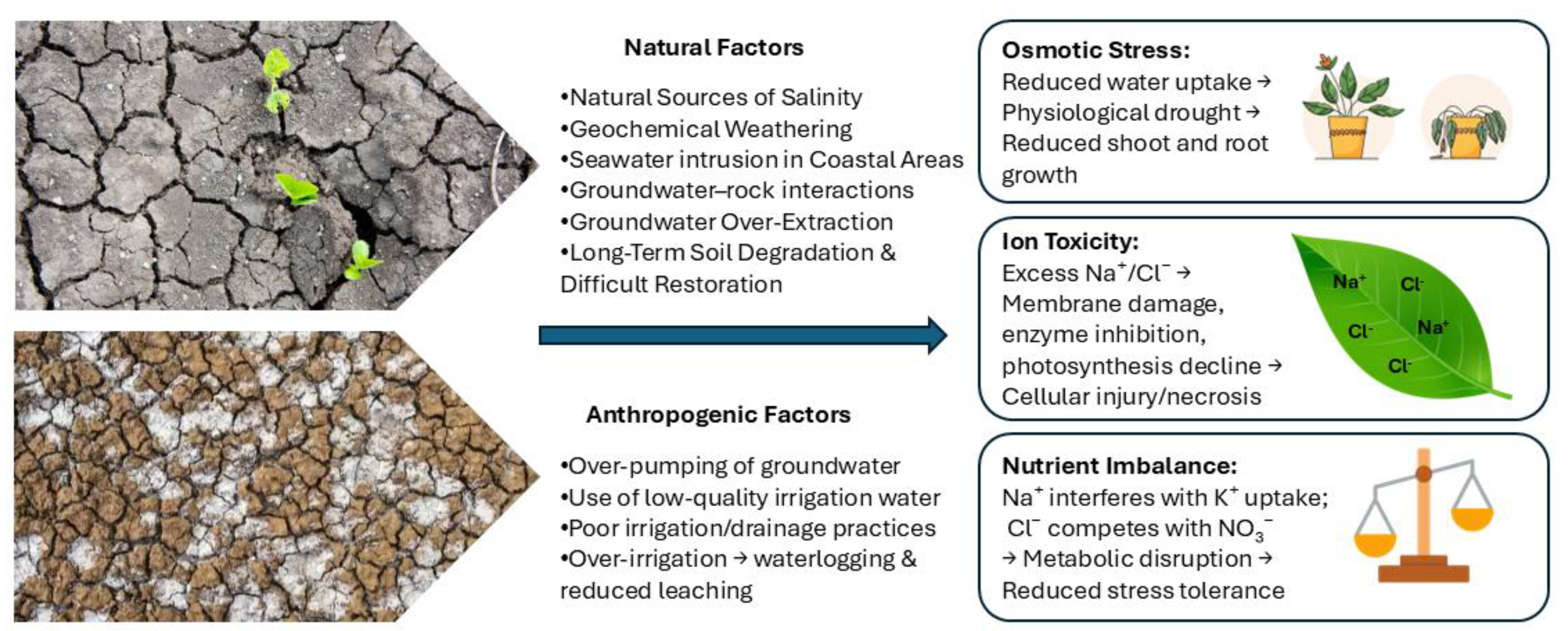 Preprints 190131 g001